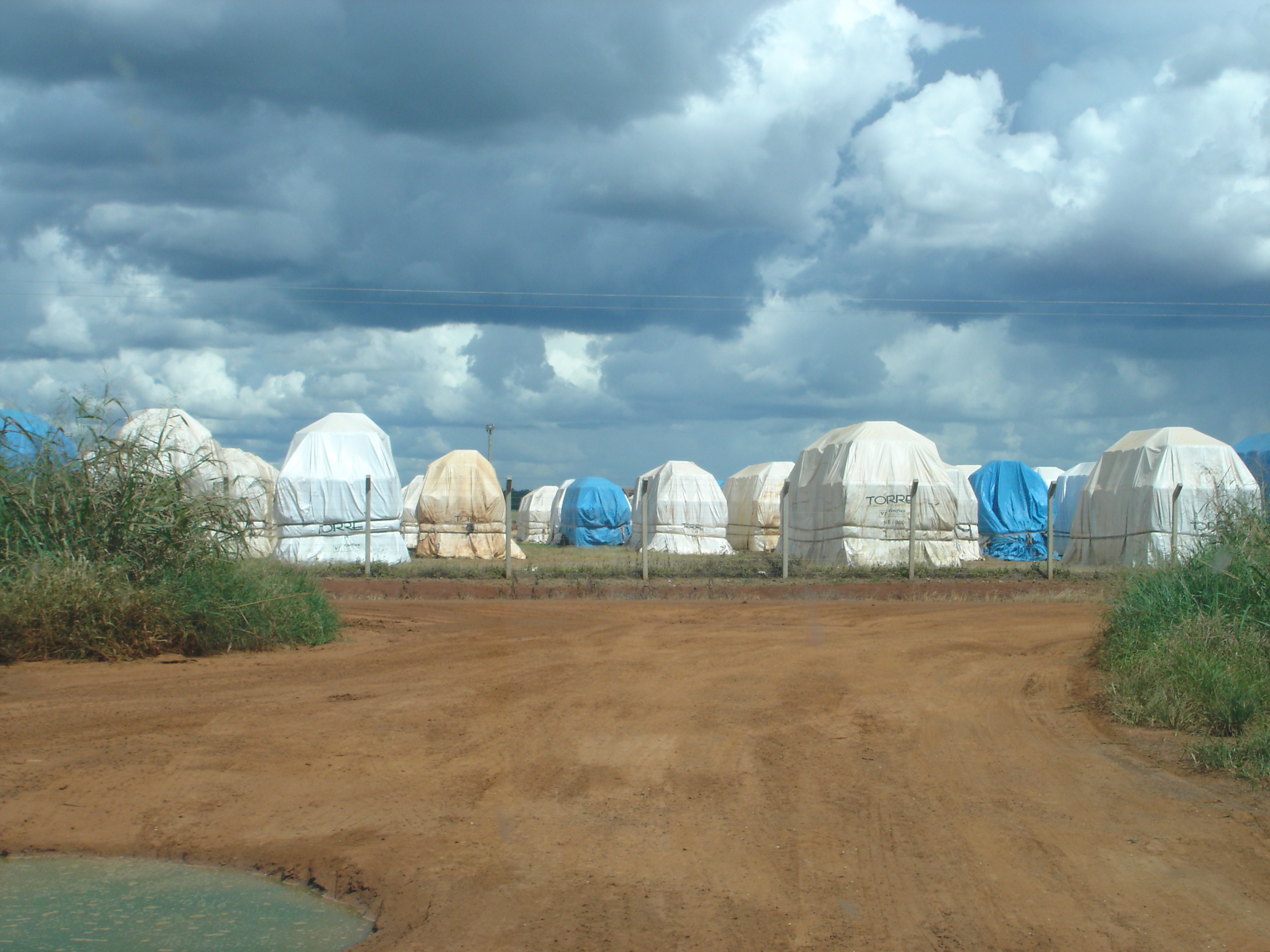 Cotton awaiting shipment on Ferronorte Railroad in Mato Grosso