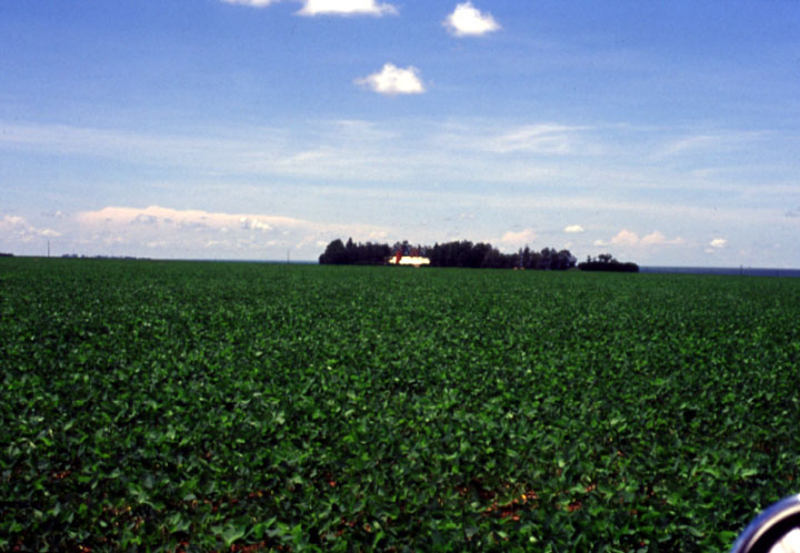 Soybean production near Rondonopolis, Mato Grosso
