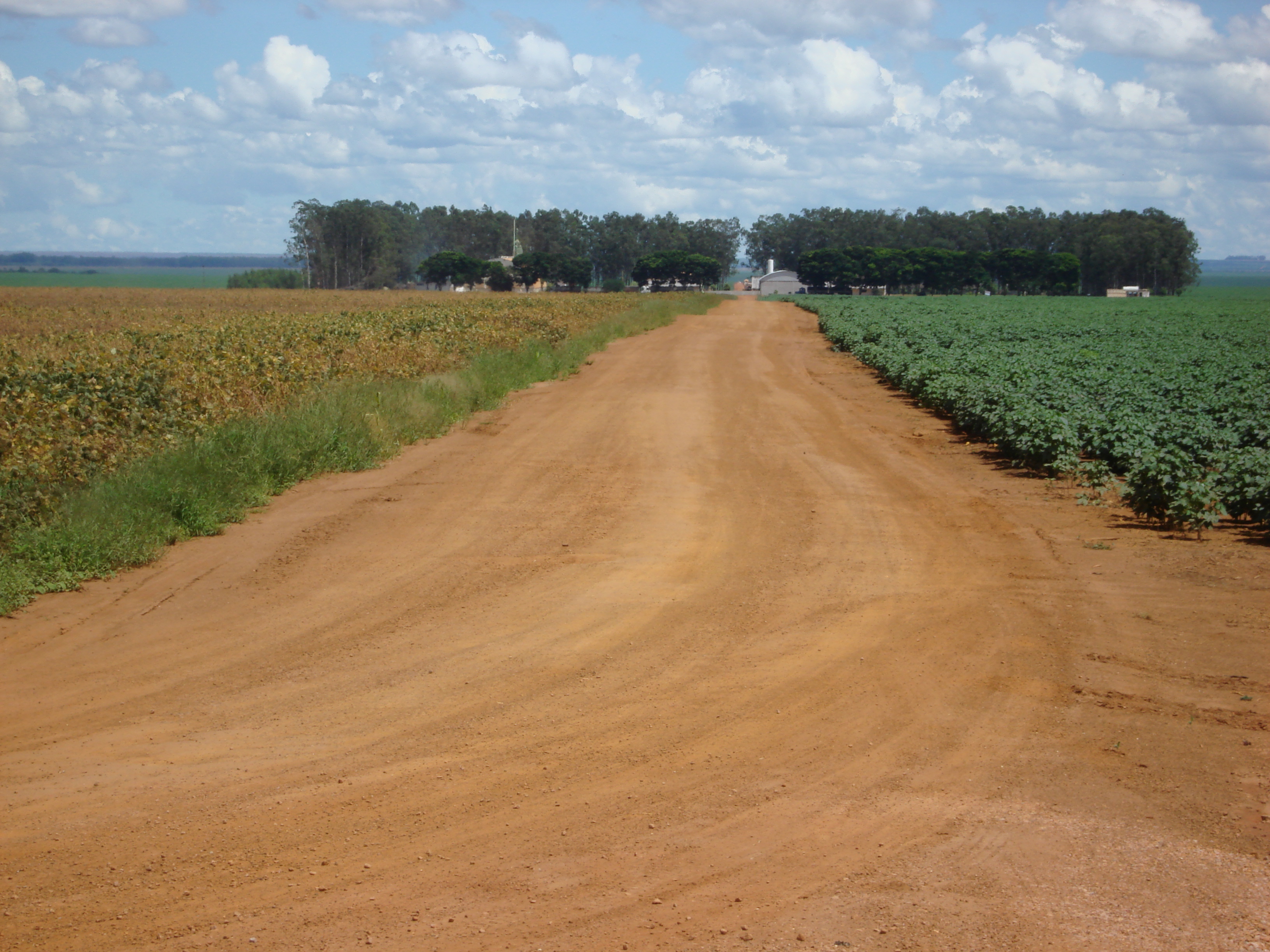 Soybean and cotton production near Primavera do Leste, Mato Grosso