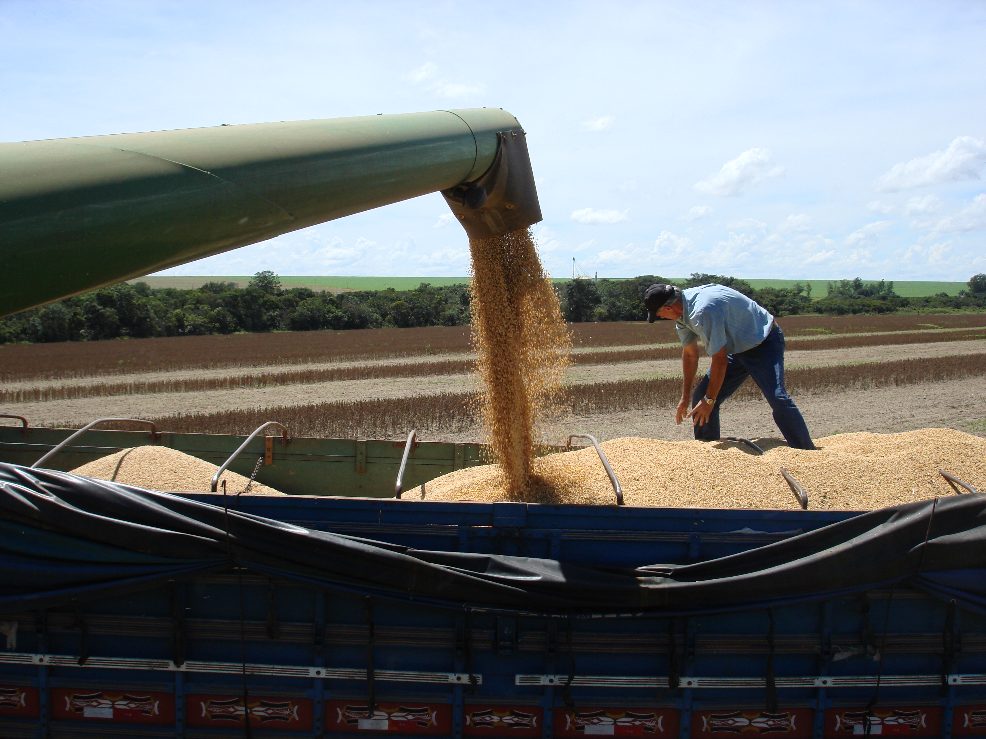 Harvesting soybeans near Primavera do Leste, Mato Grosso