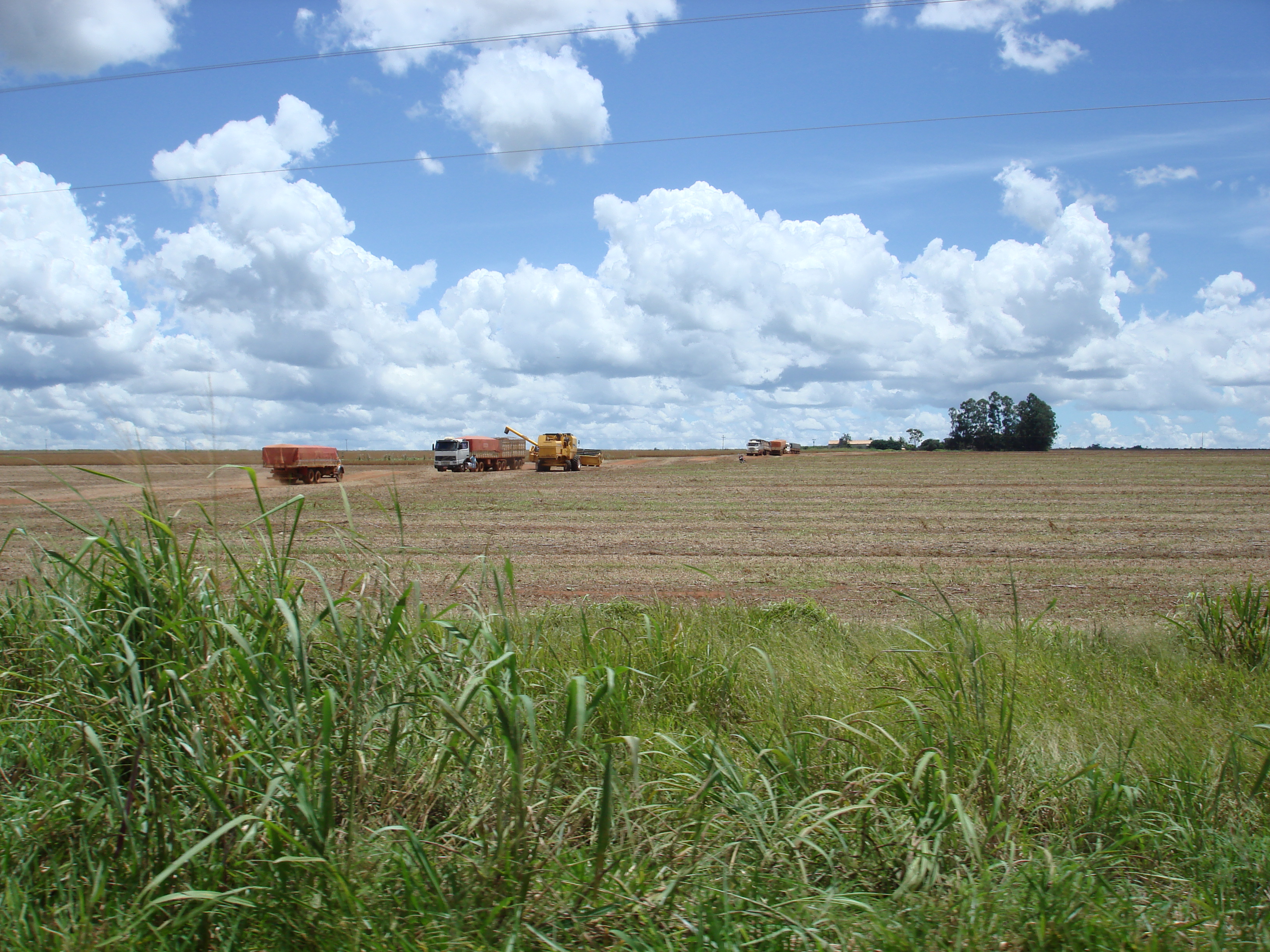Harvesting soybeans near Campo Verde, Mato Grosso
