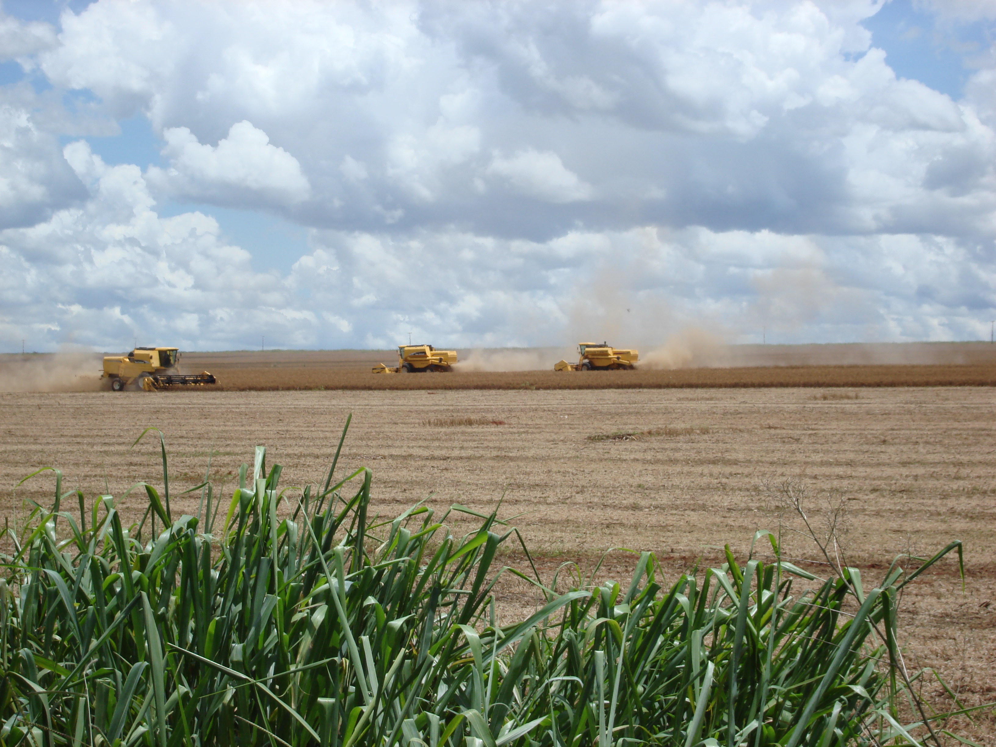 Harvesting soybeans near Campo Verde, Mato Grosso