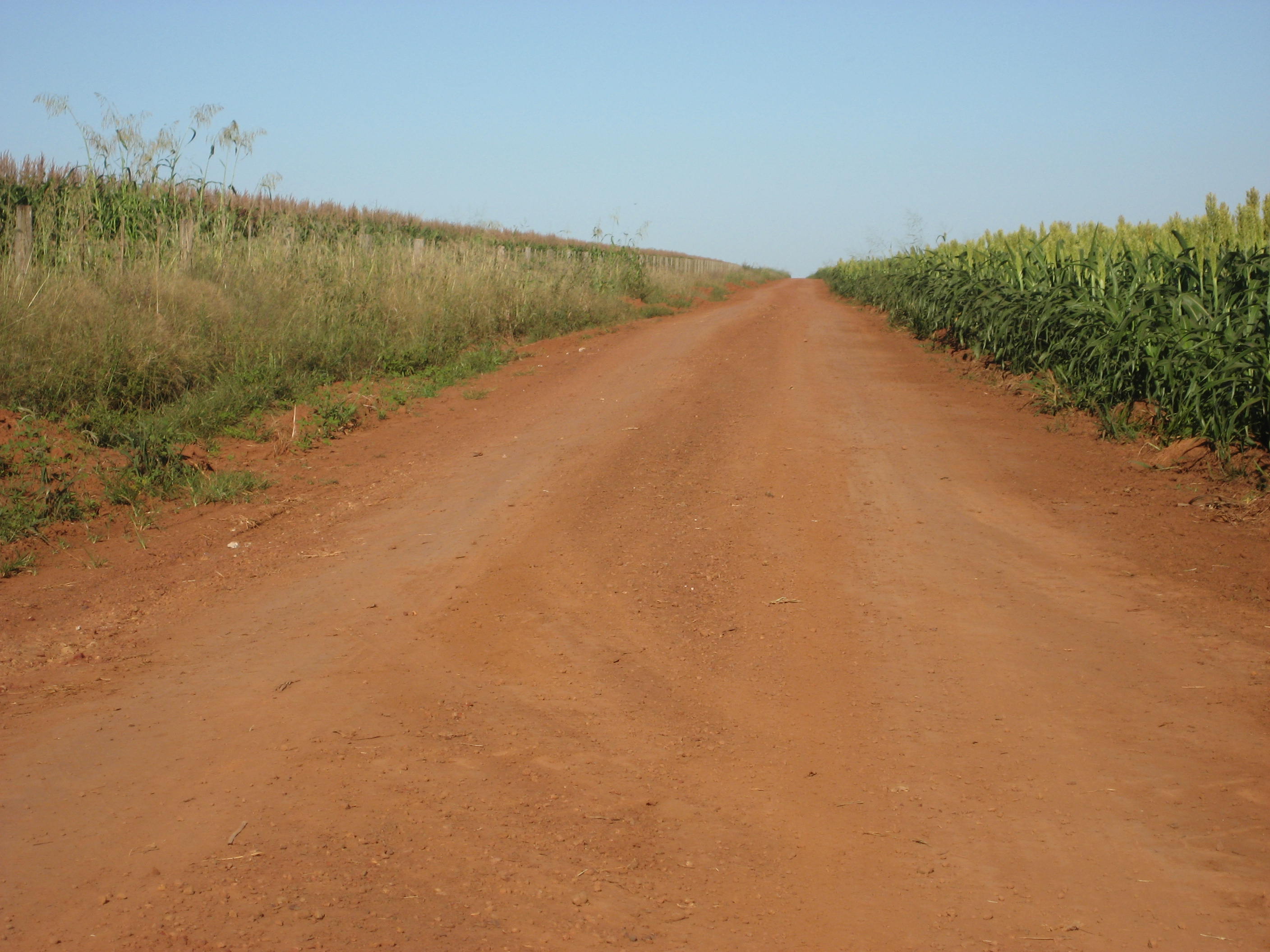 Double crop (safrinha) corn and sorghum production near Sao Vicente, Mato Grosso