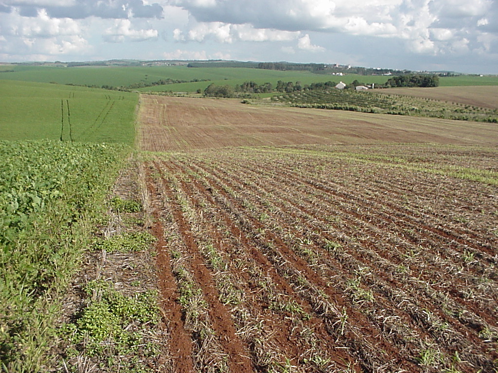 Soybean production in western Parana
