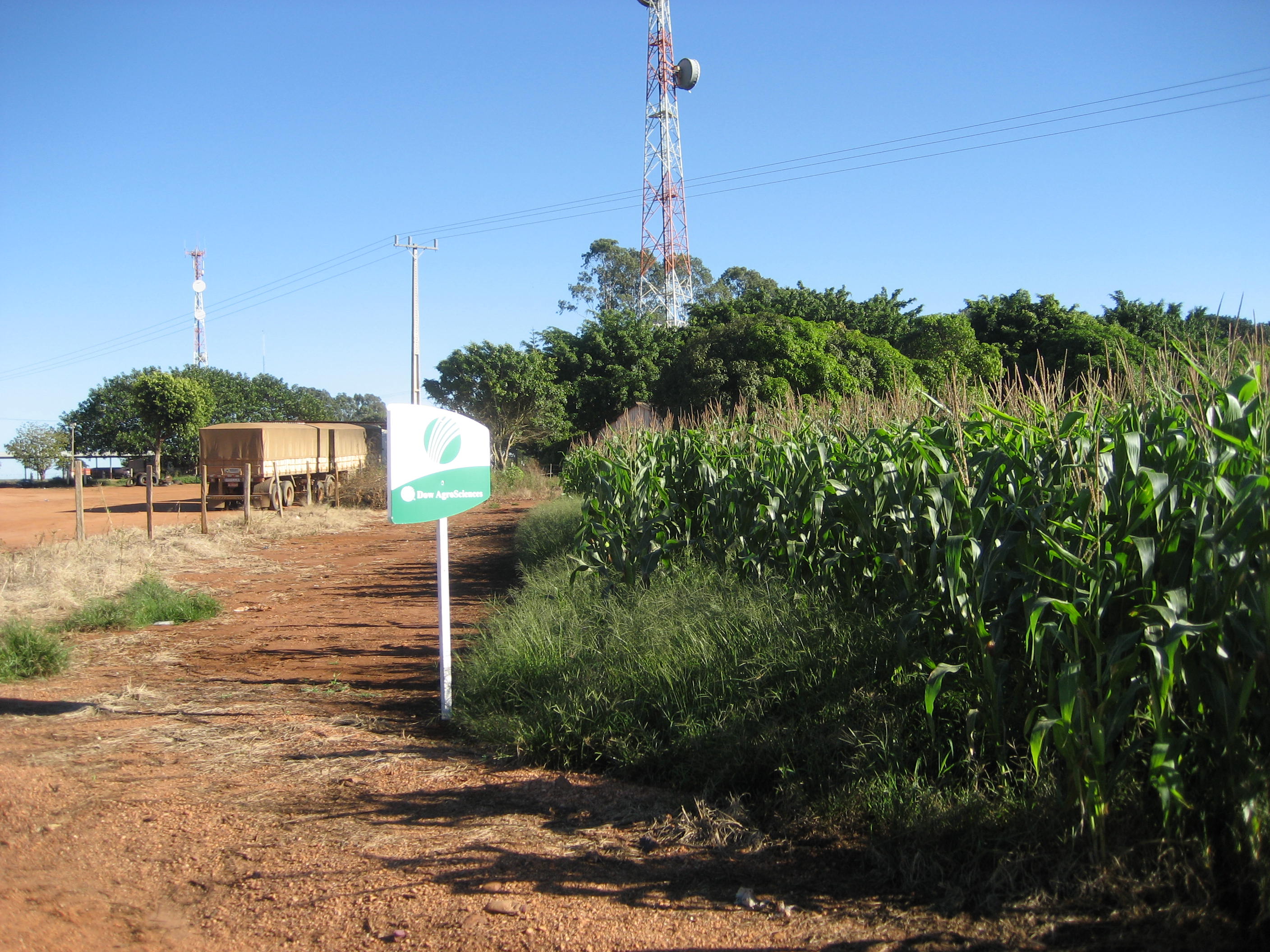 Double crop (safrinha) corn production near Sao Vicente, Mato Grosso