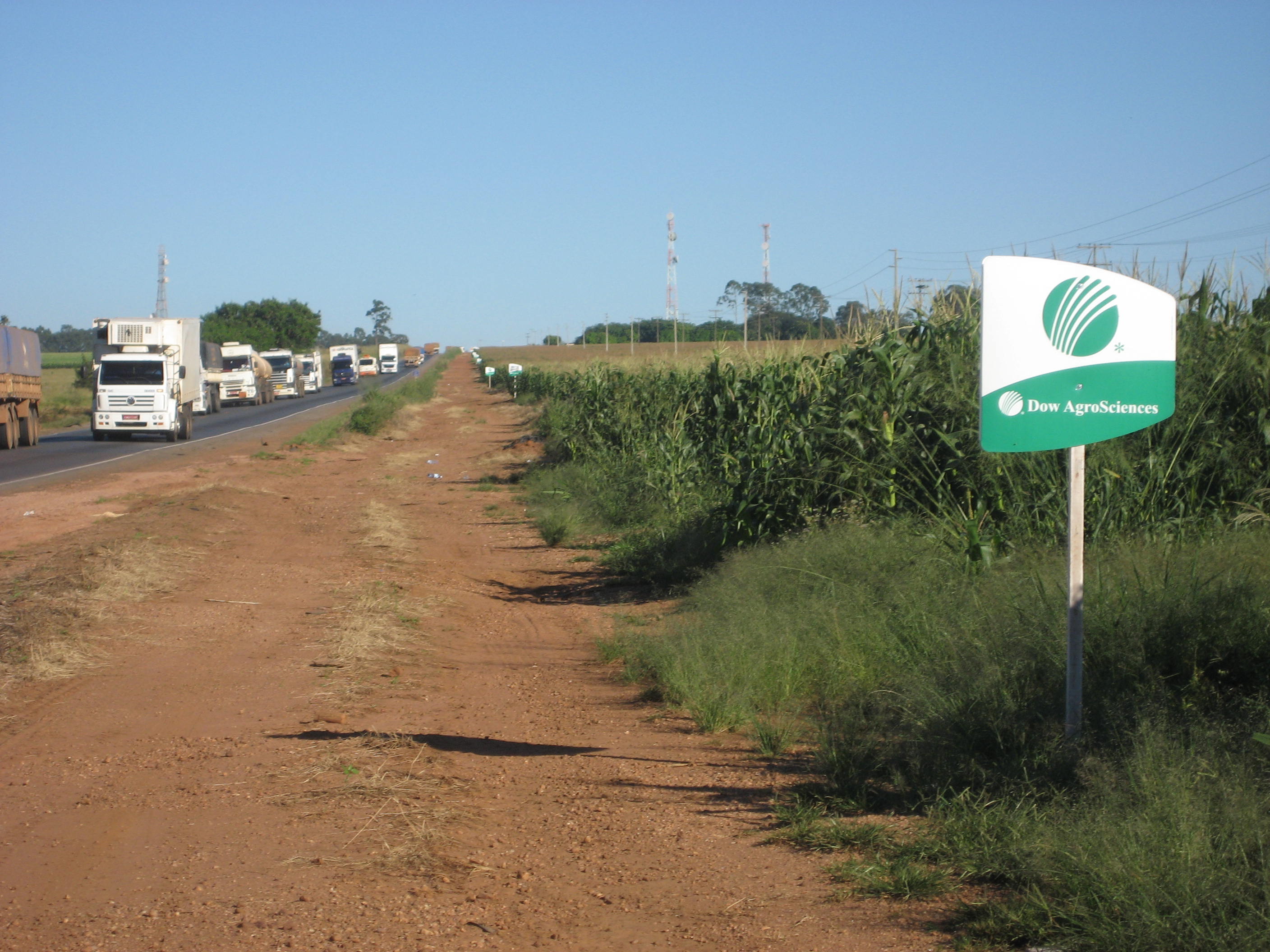 Double crop (safrinha) corn production near Sao Vicente, Mato Grosso