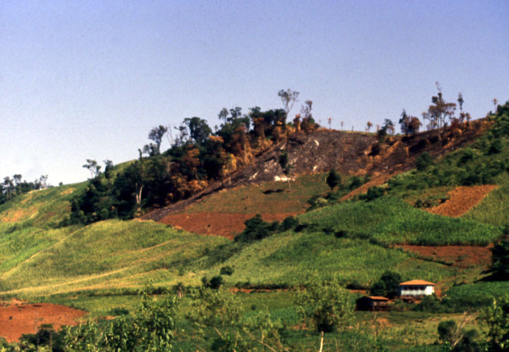 Land clearing in western Parana.