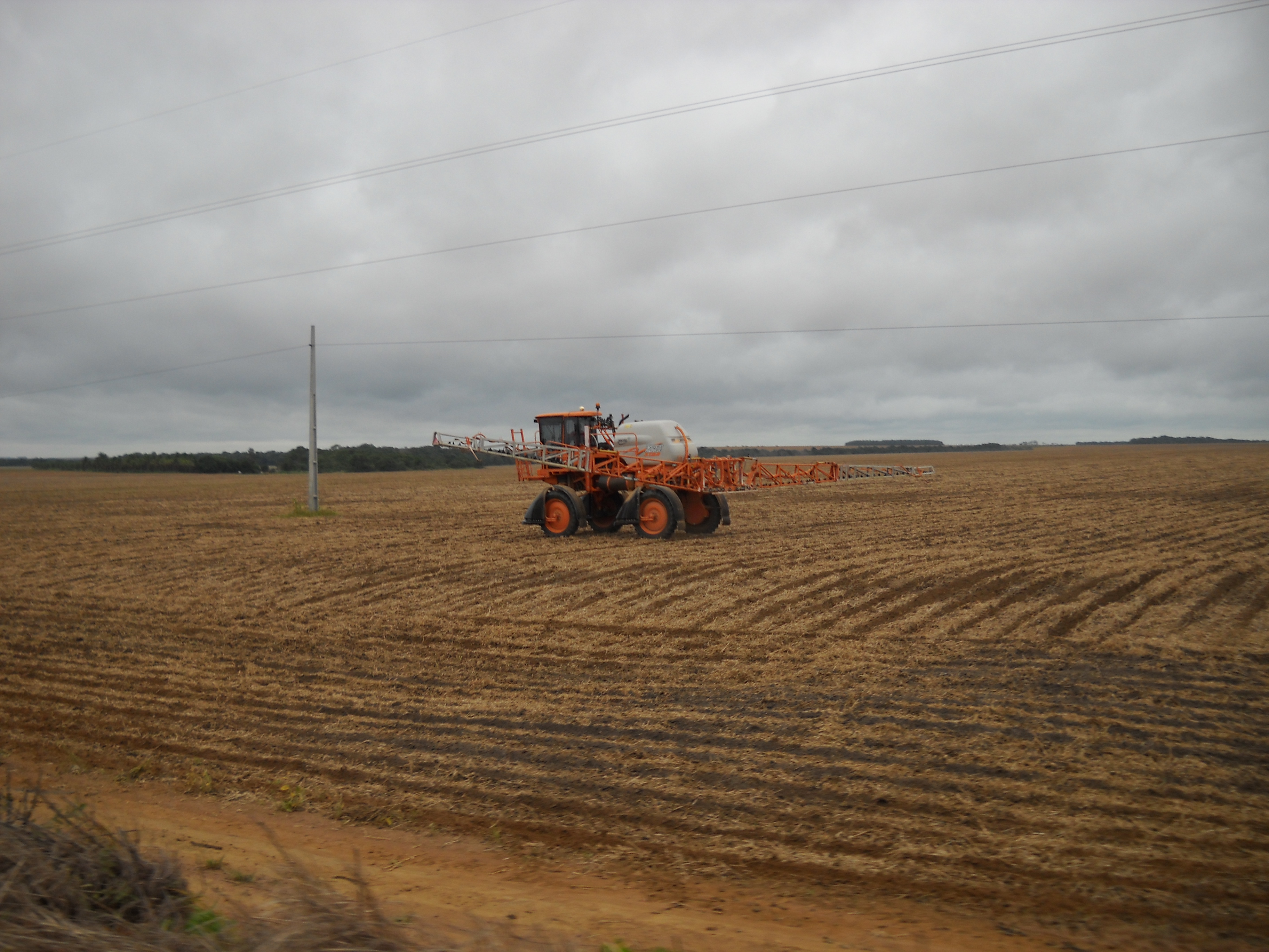 Spraying safrinha corn near Primavera do Leste in eastern Mato Grosso