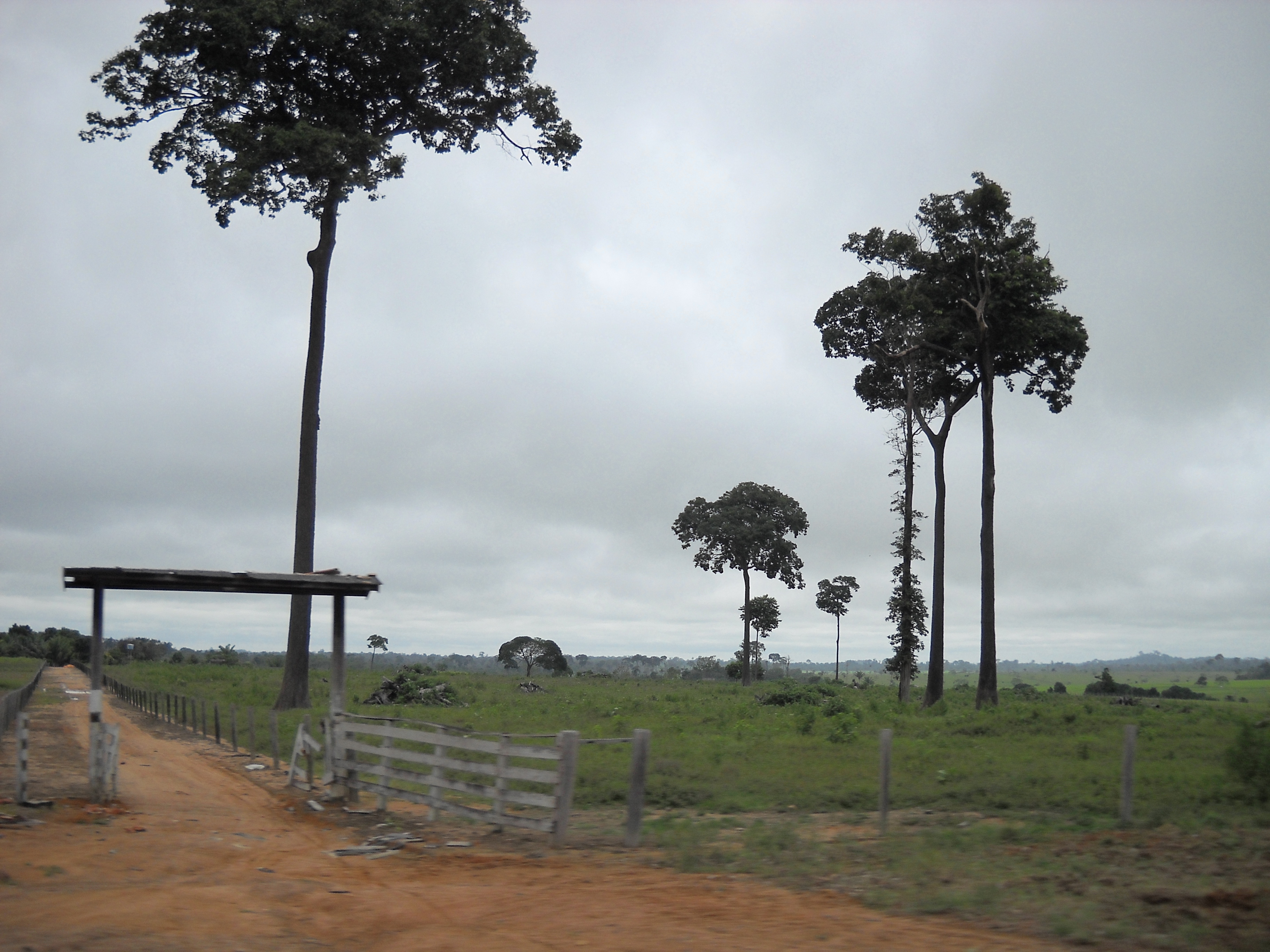 Entrance to a ranch near Alta Floresta in far northern Mato Grosso
