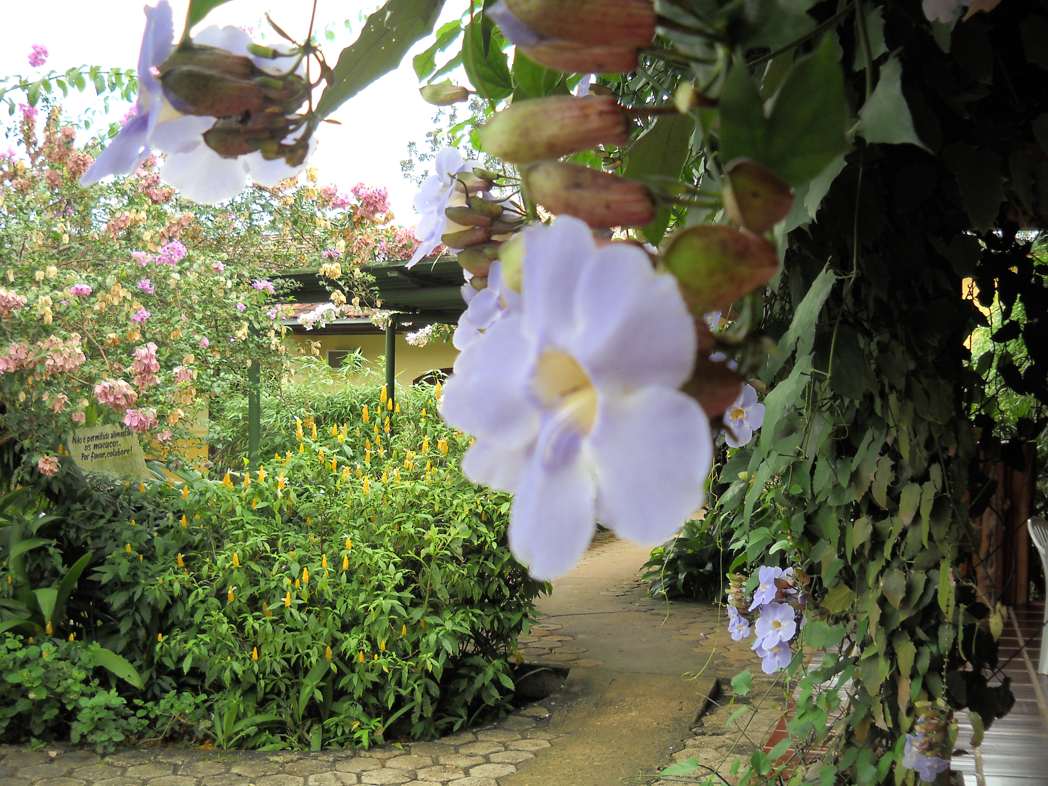 Amazon Forest Hotel in Alta Floresta in far northern Mato Grosso