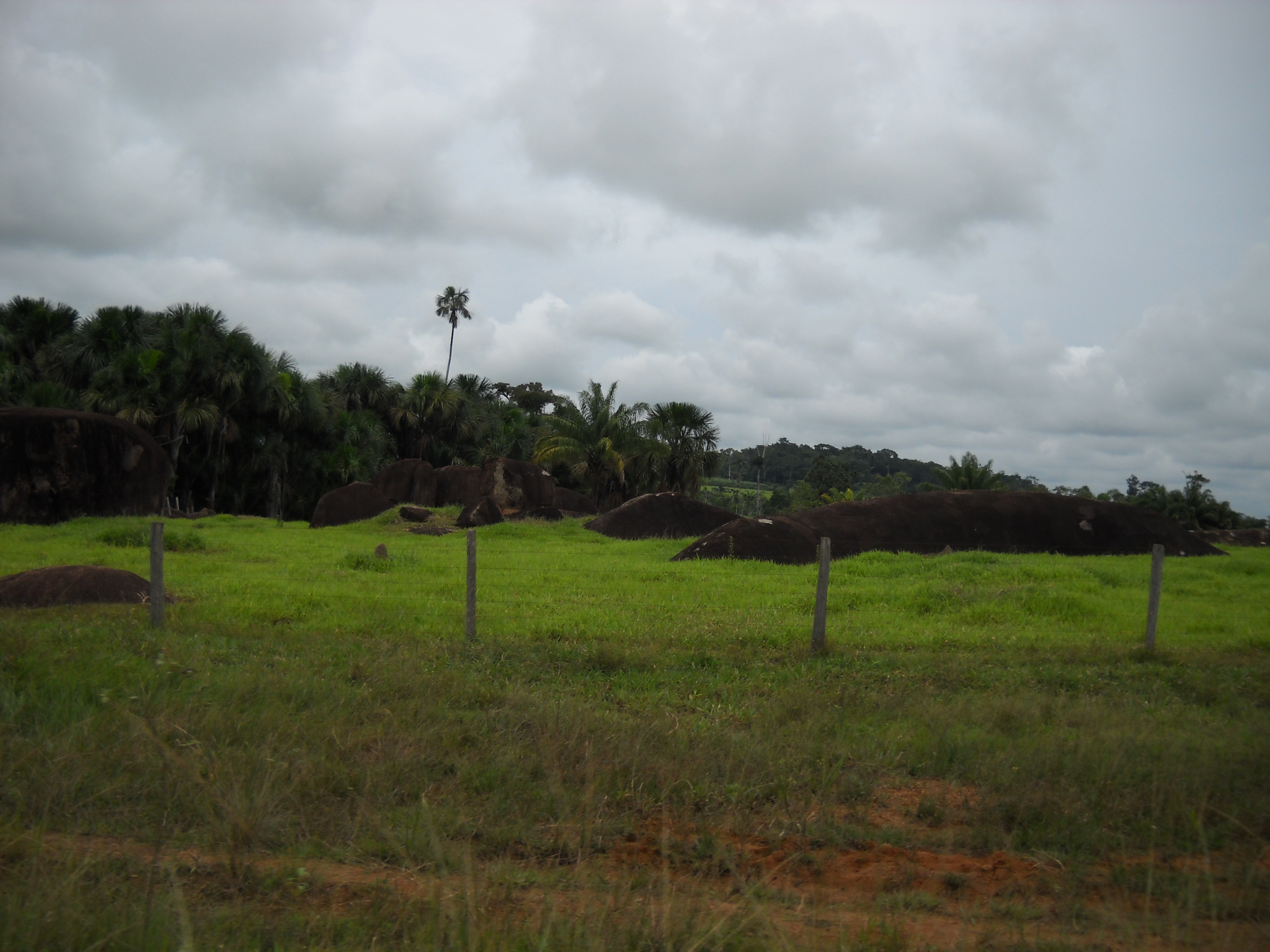 Pasture, rock outcrops, and rain forest near Alta Floresta in far northern Mato Grosso