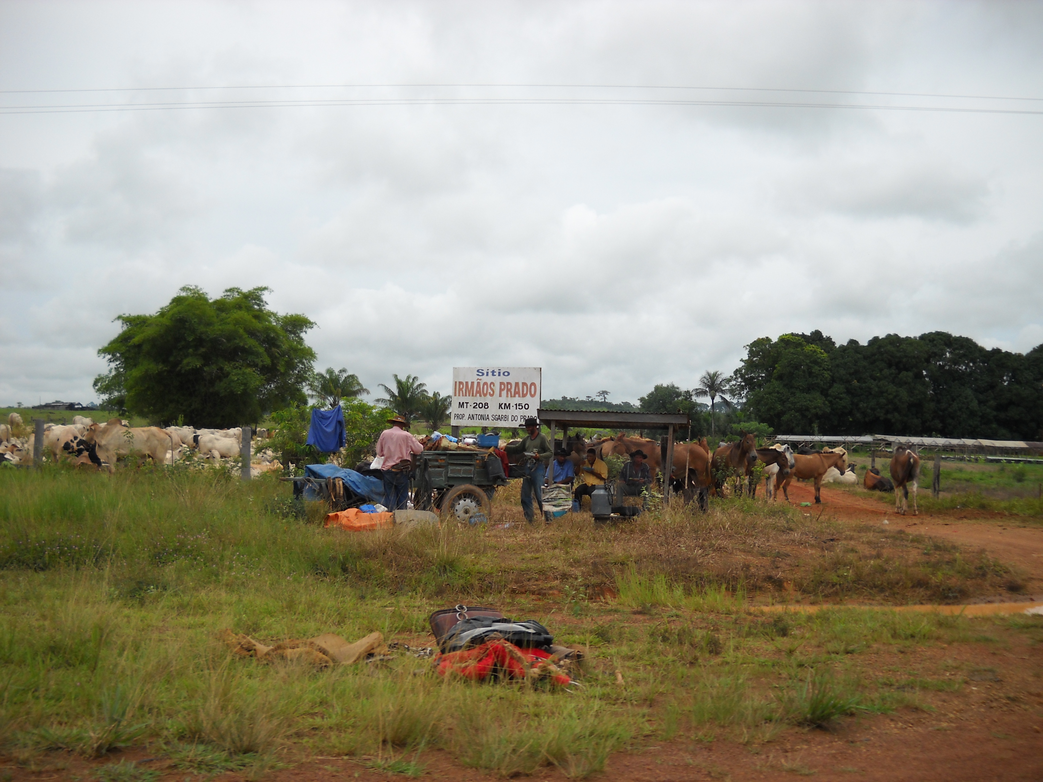 Cowboys taking a break from a cattle drive in far northern Mato Grosso