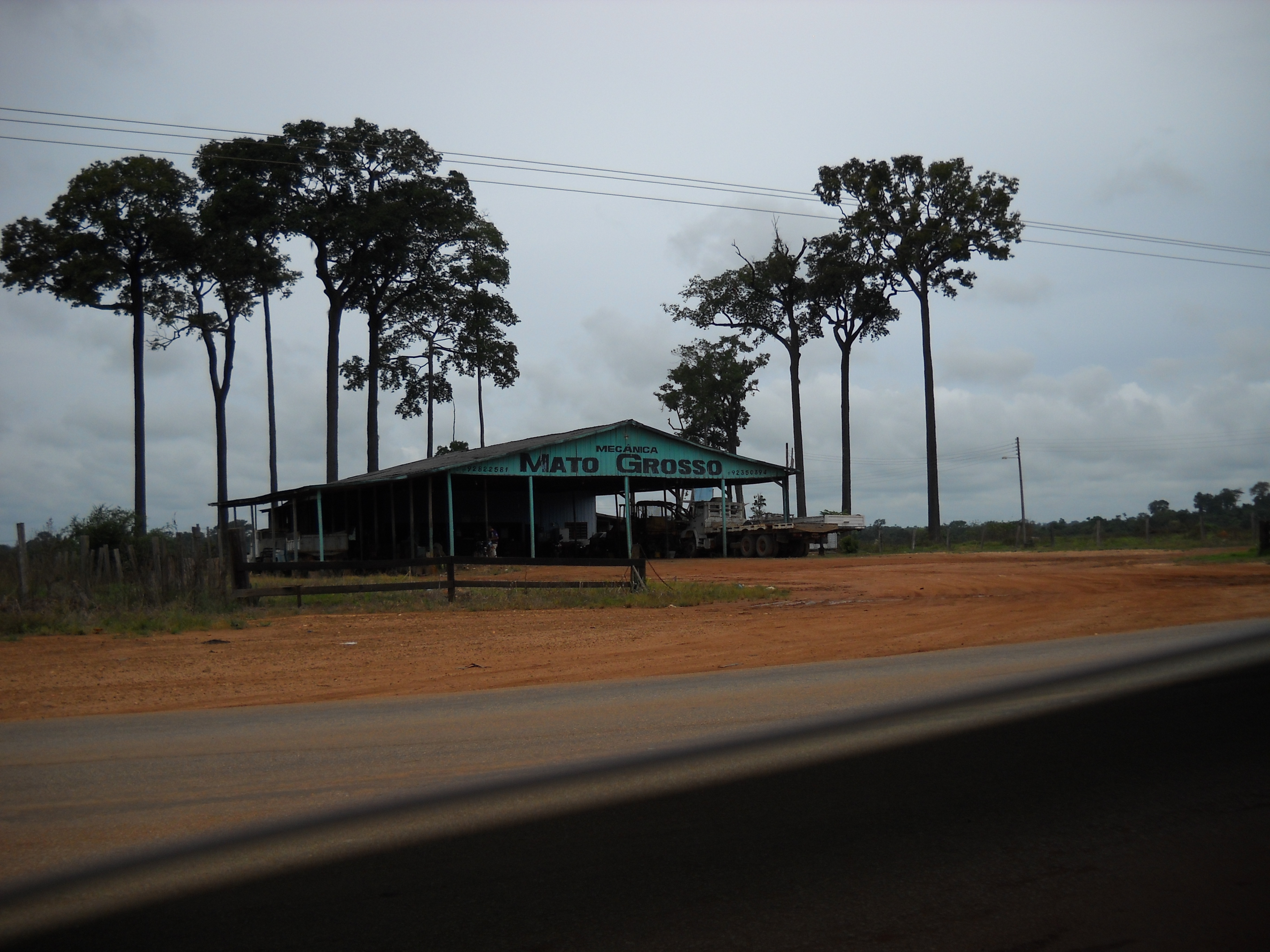 Remnants of rain forest in northern Mato Grosso