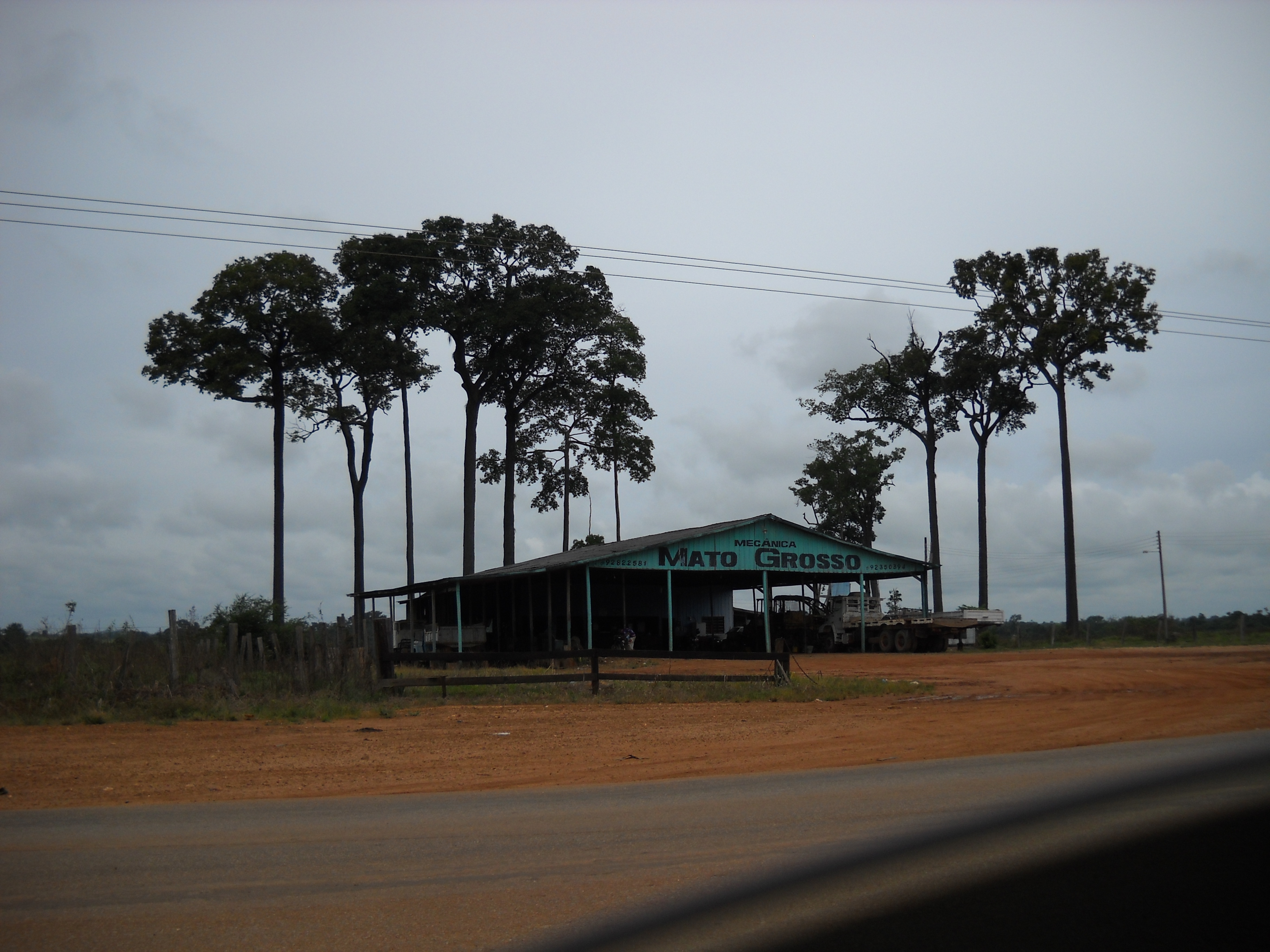 Remnants of rain forest in northern Mato Grosso