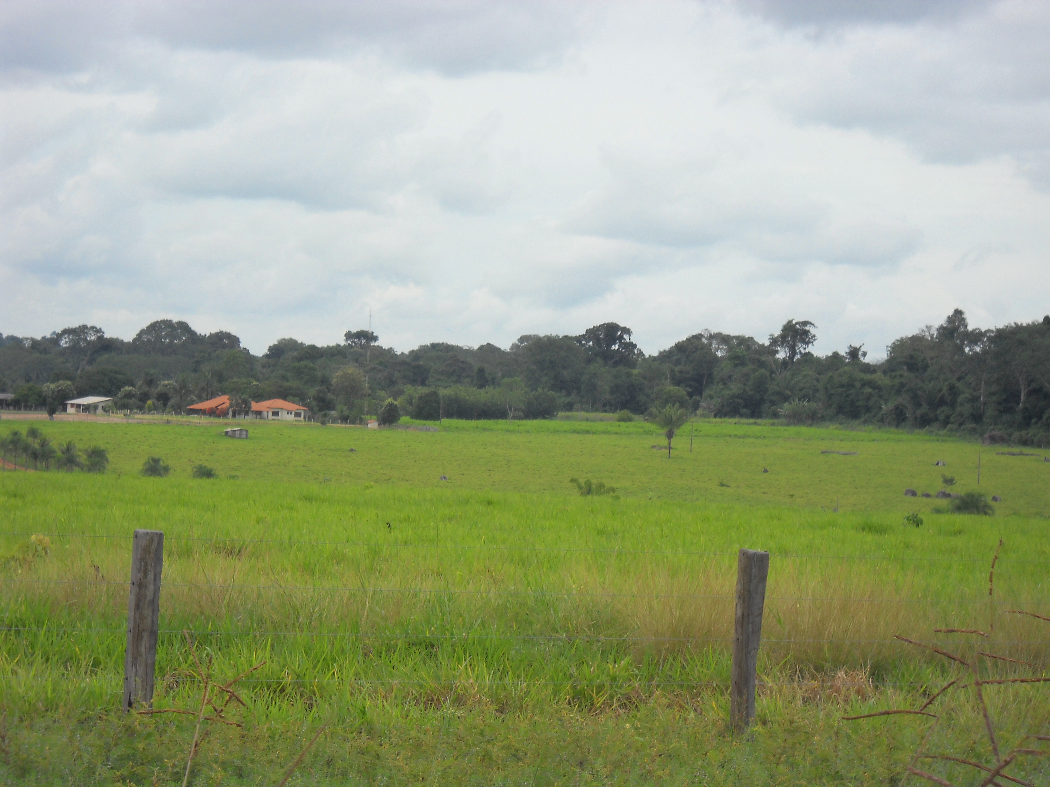 Pasture and rain forest near Colider in northern Mato Grosso