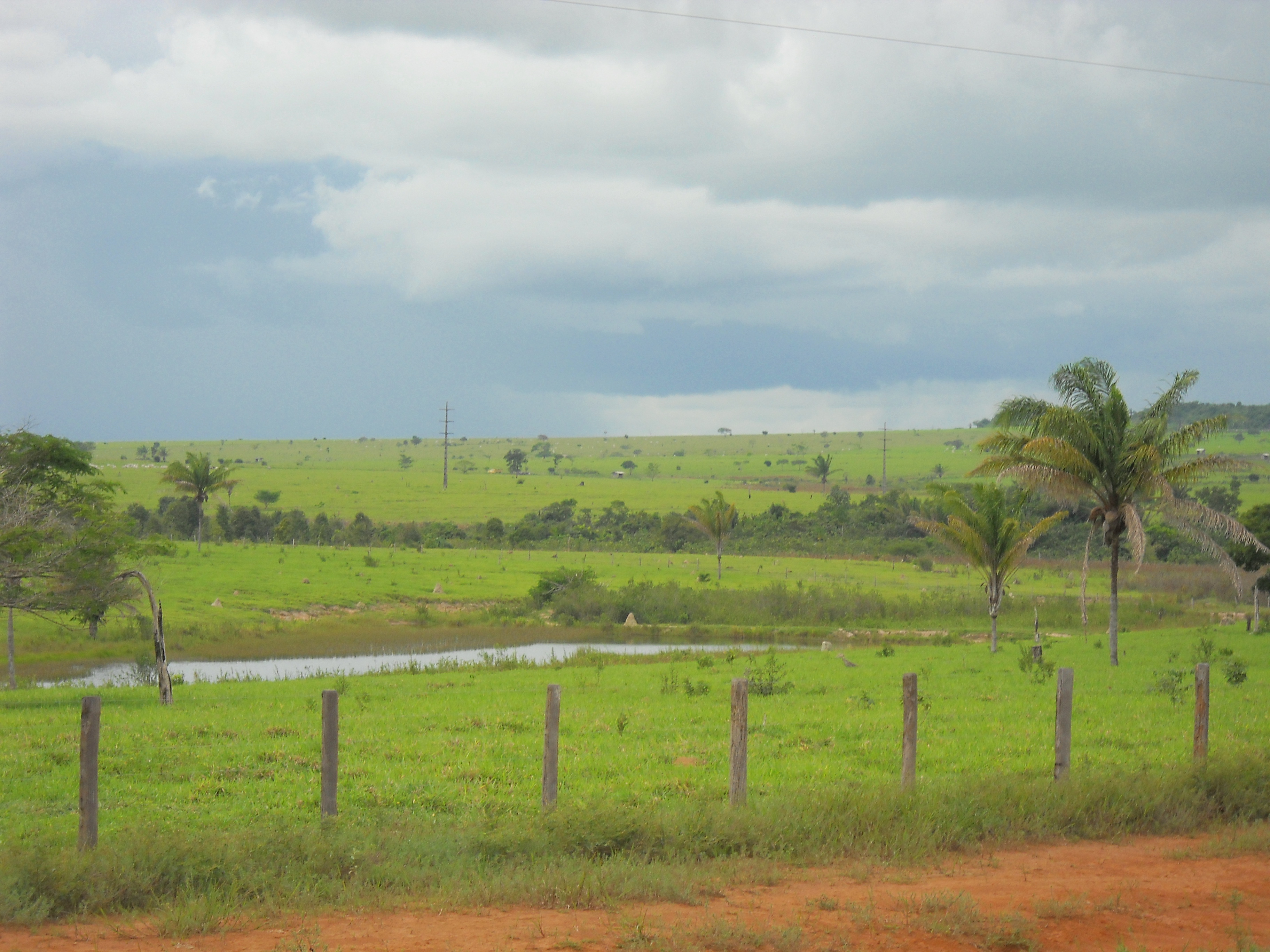 Cattle ranching near Colider in northern Mato Grosso