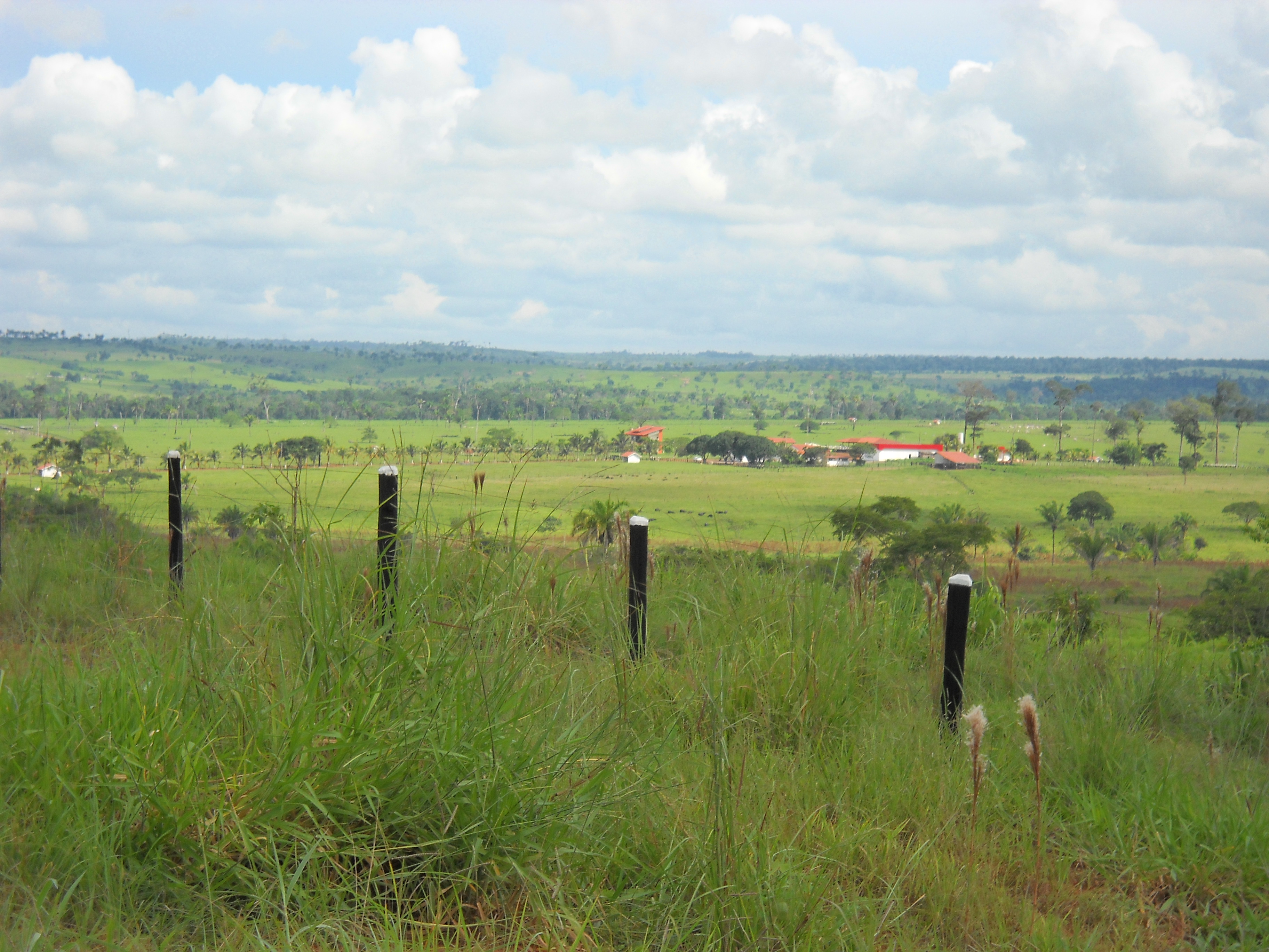 Ranch in northern Mato Grosso