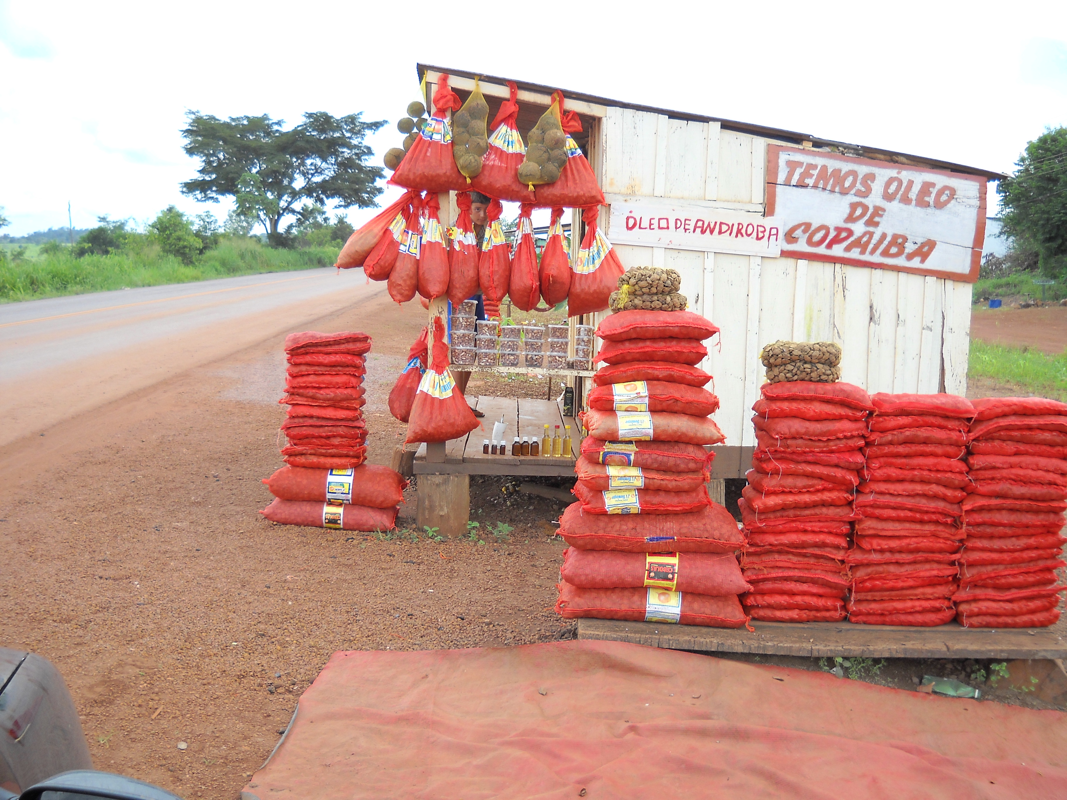 Selling Brazil nuts along the highway in northern Mato Grosso