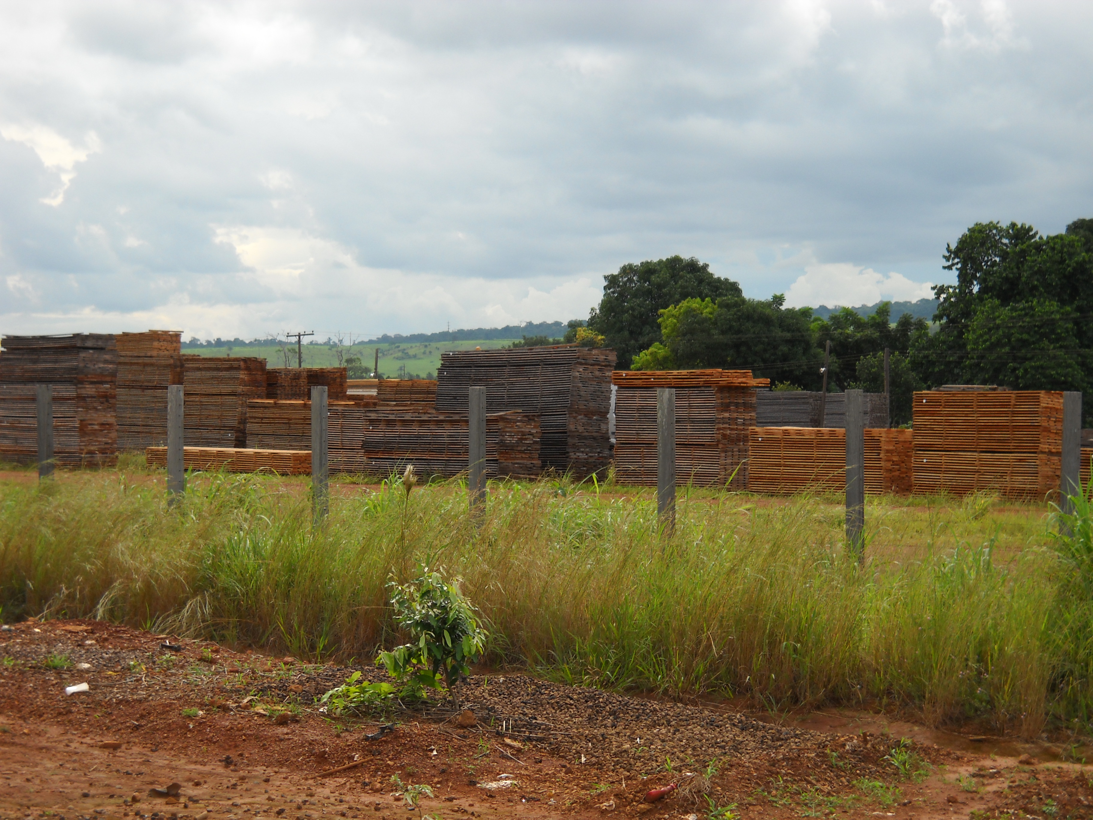 Lumber yard in northern Mato Grosso