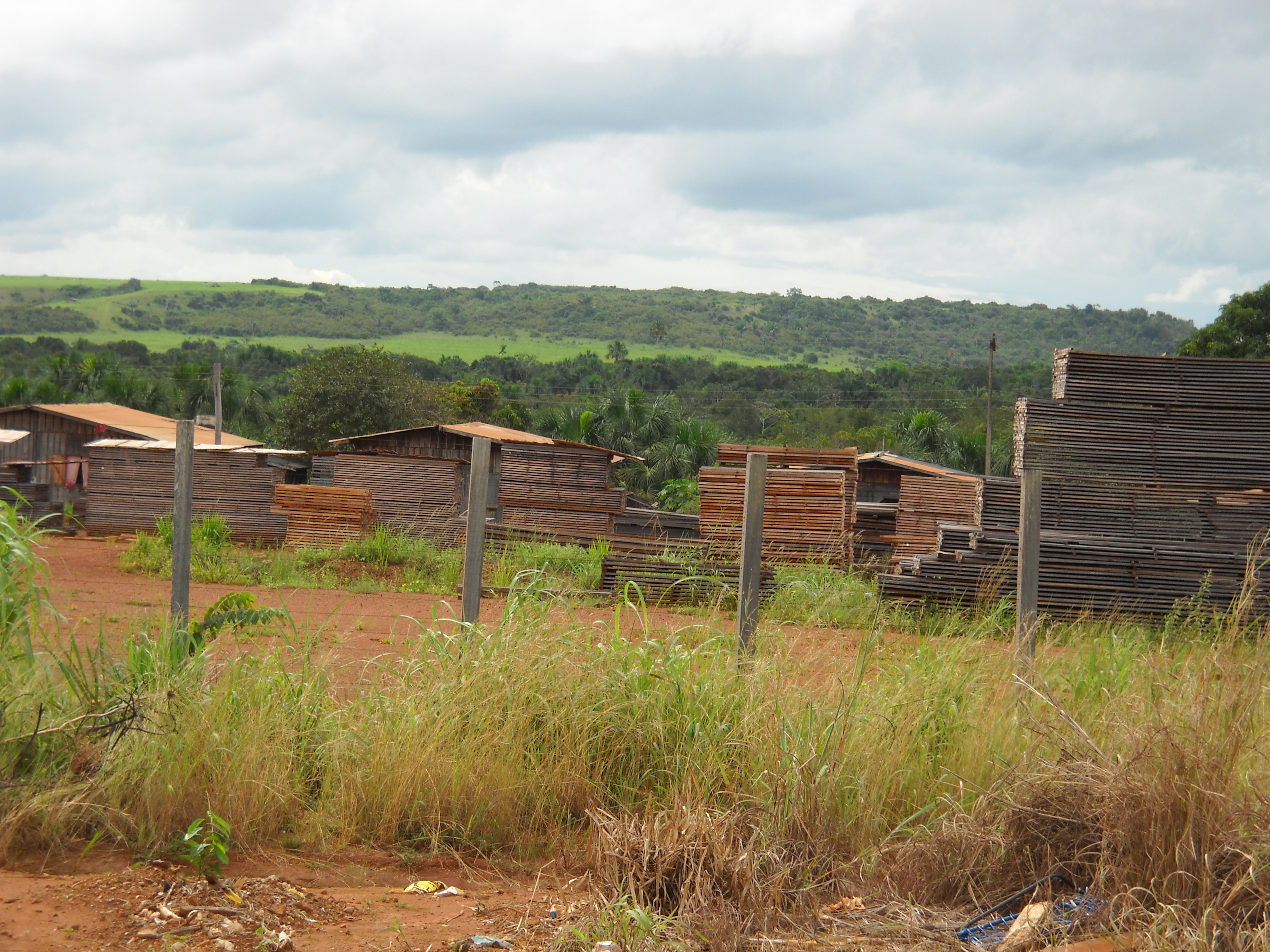 Sawmill in northern Mato Grosso