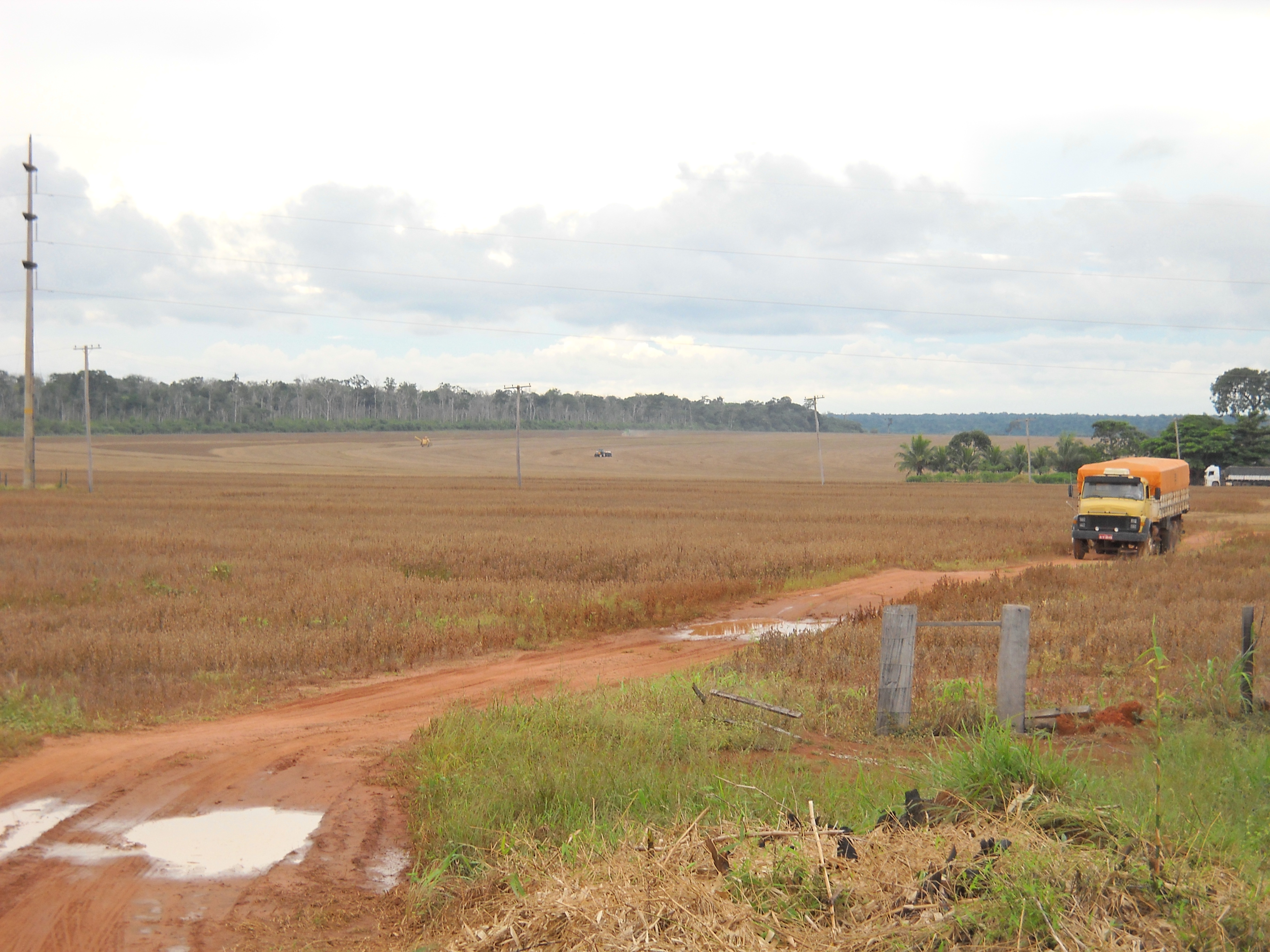 Harvesting soybeans and planting safrinha corn near Sinop in north-central Mato Grosso