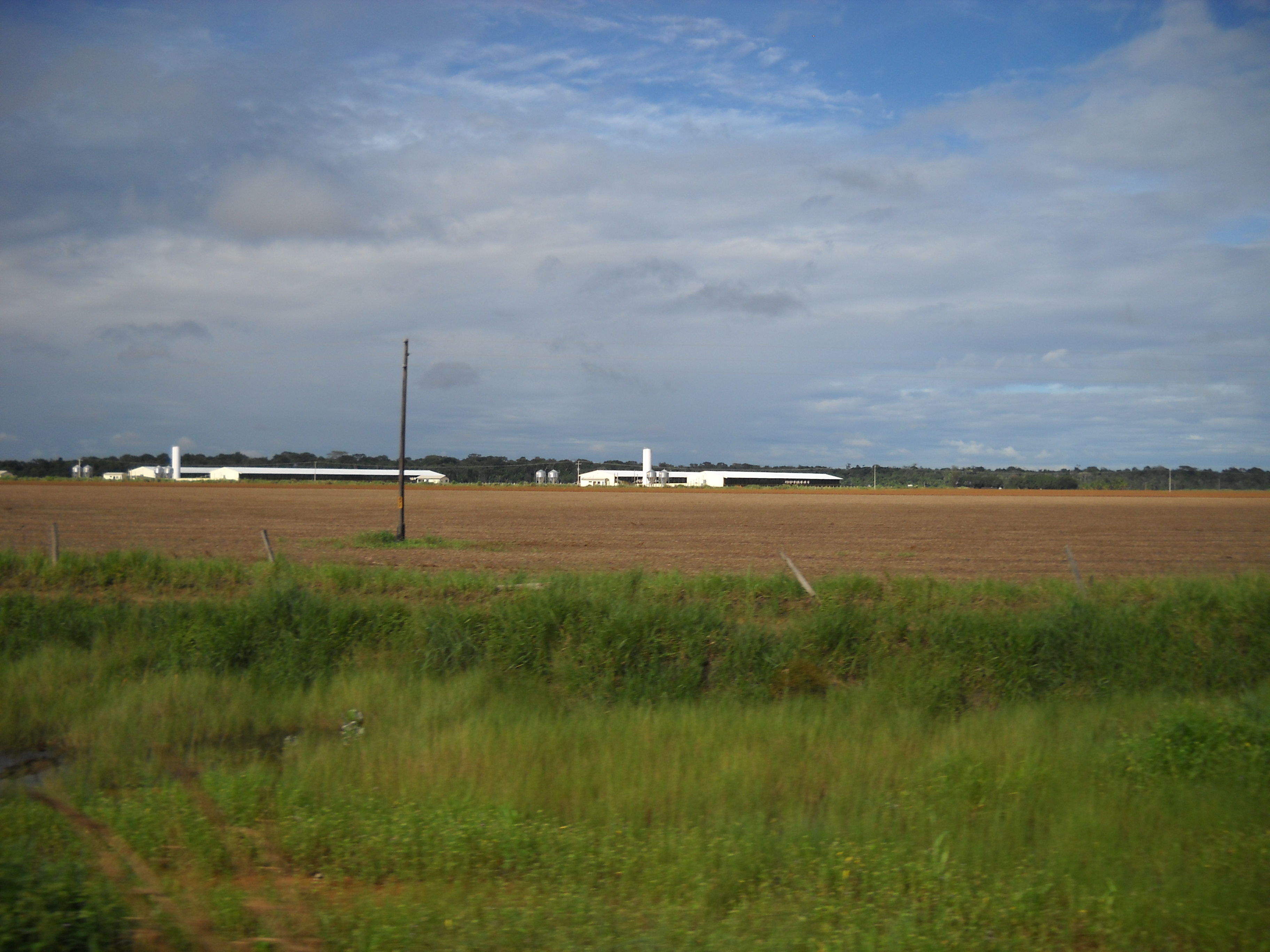 Poultry production near Sorriso in central Mato Grosso