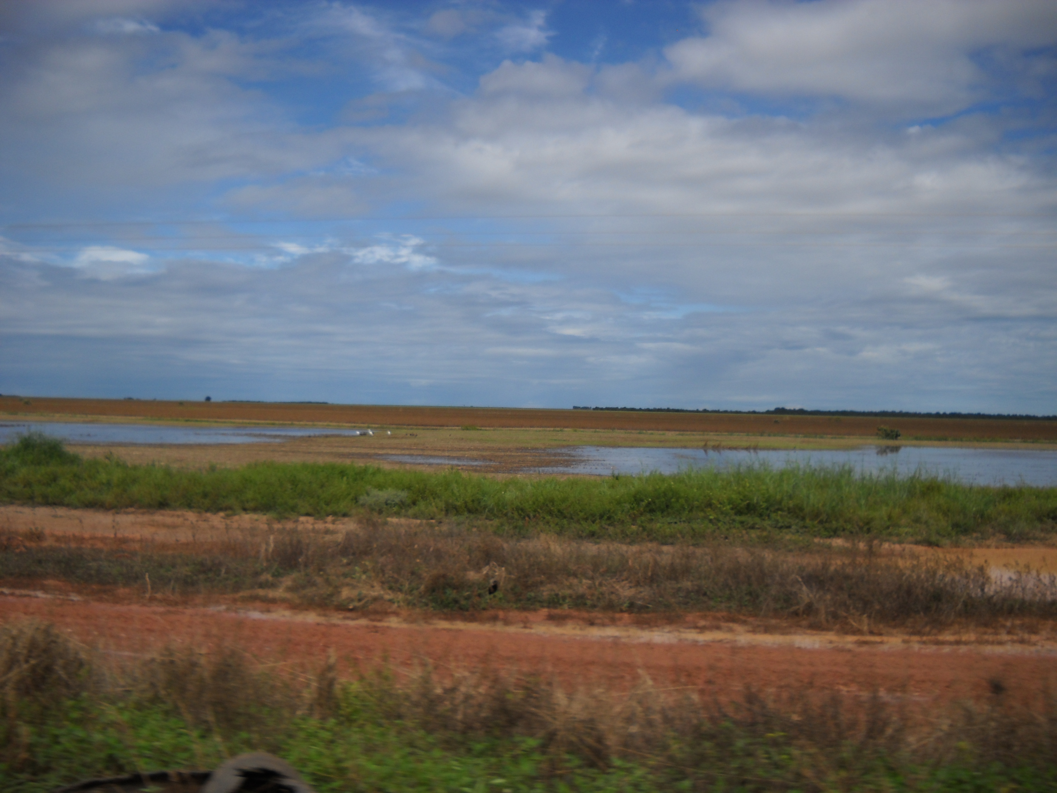 Wet soybean fields near Nova Mutum in central Mato Grosso