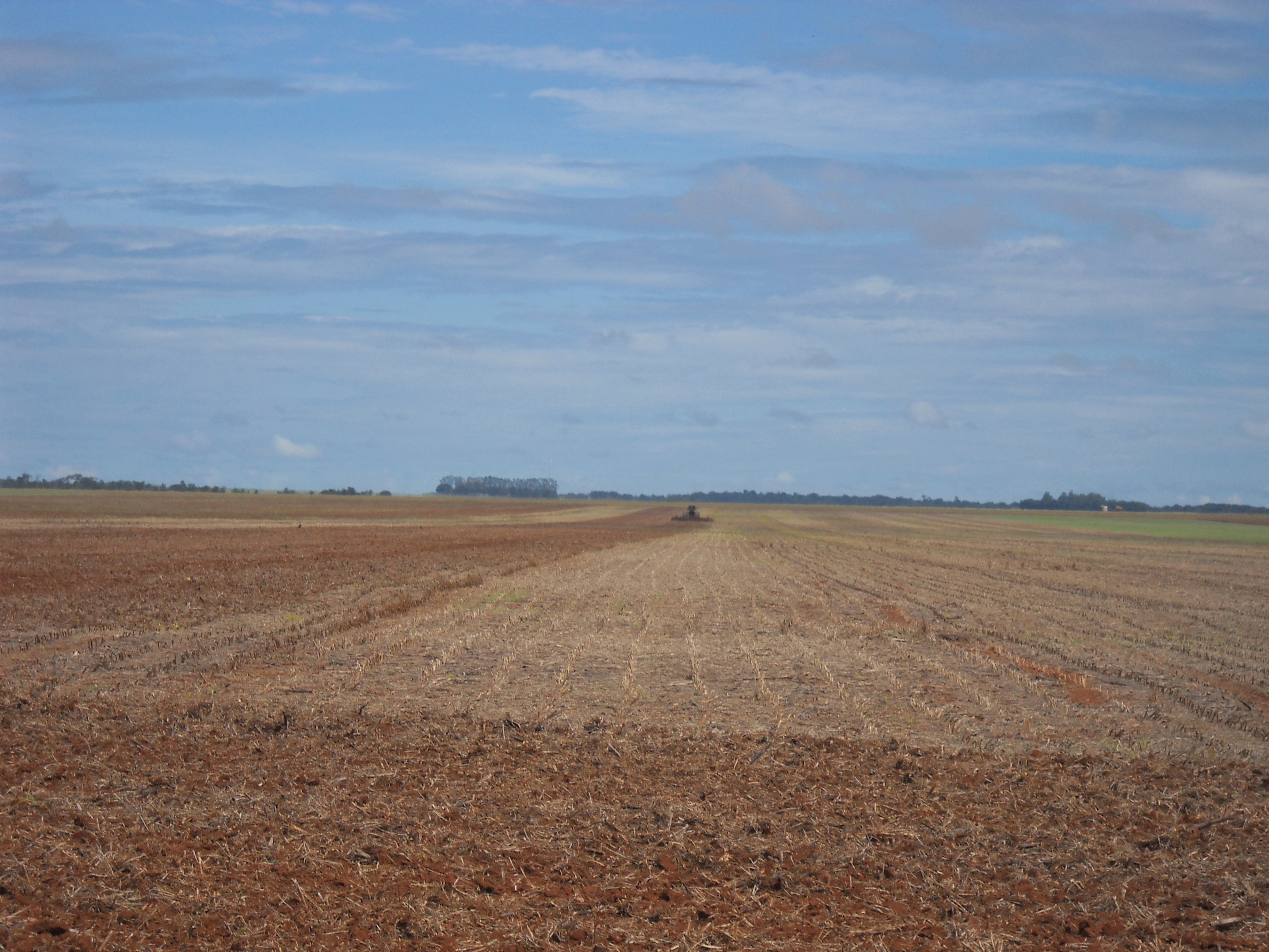 Tilling recently harvested soybean field near Nova Mutum in central Mato Grosso