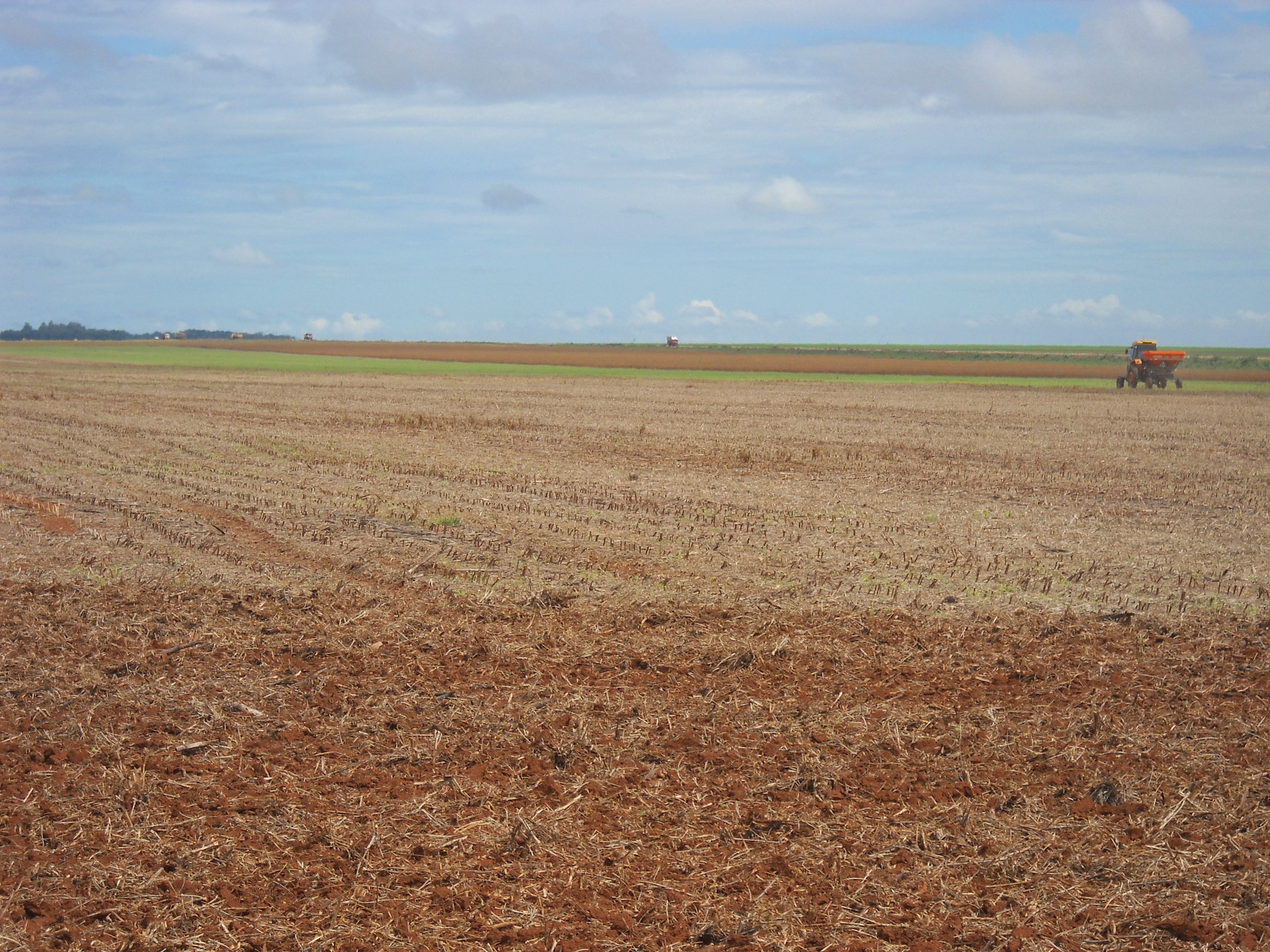 Preparing soybean field for safrinha corn planting near Nova Mutum in central Mato Grosso