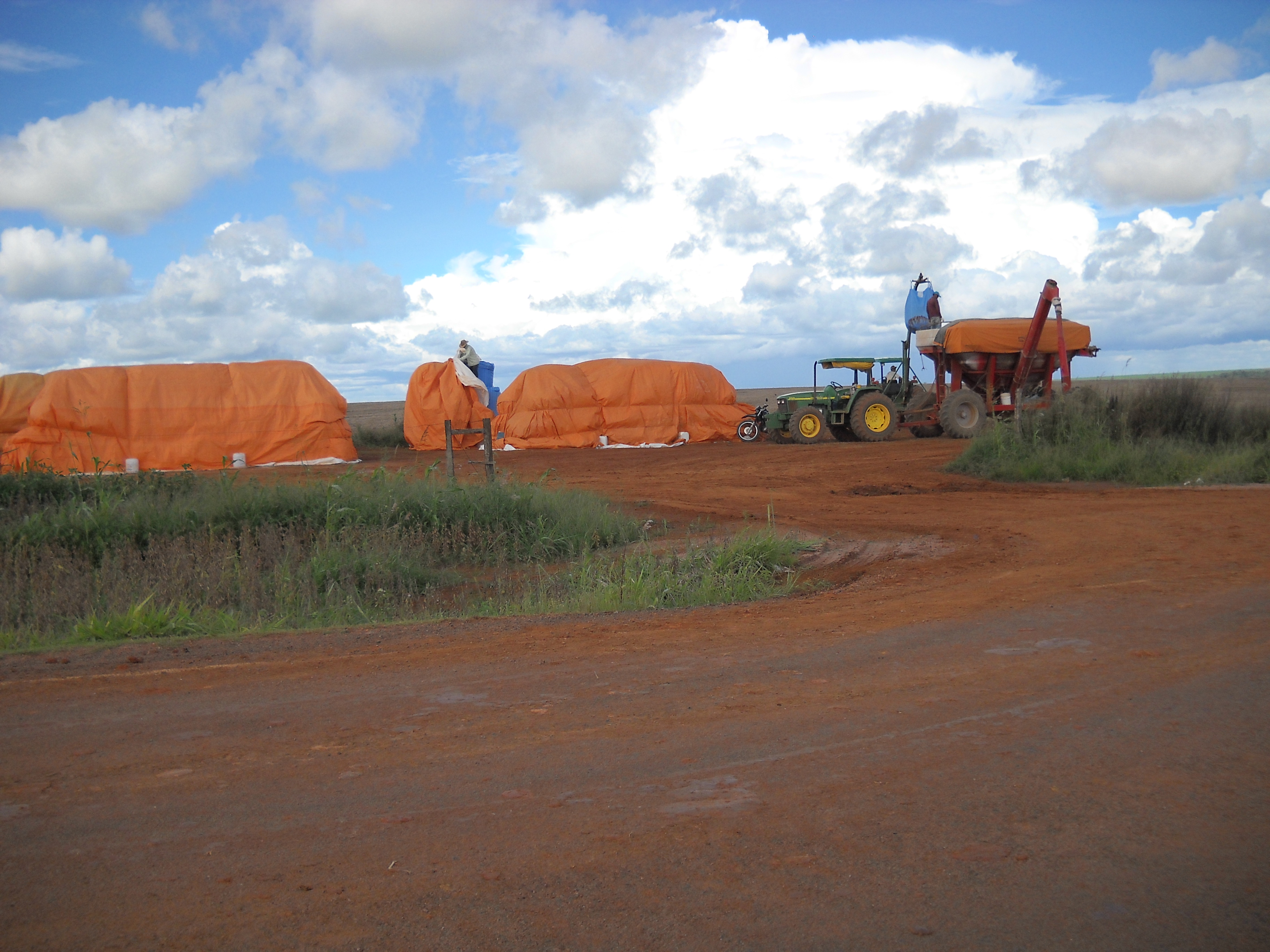 Bulk seed bag (blue at right) containing safrinha corn seed near Campo Verde in southern Mato Grosso