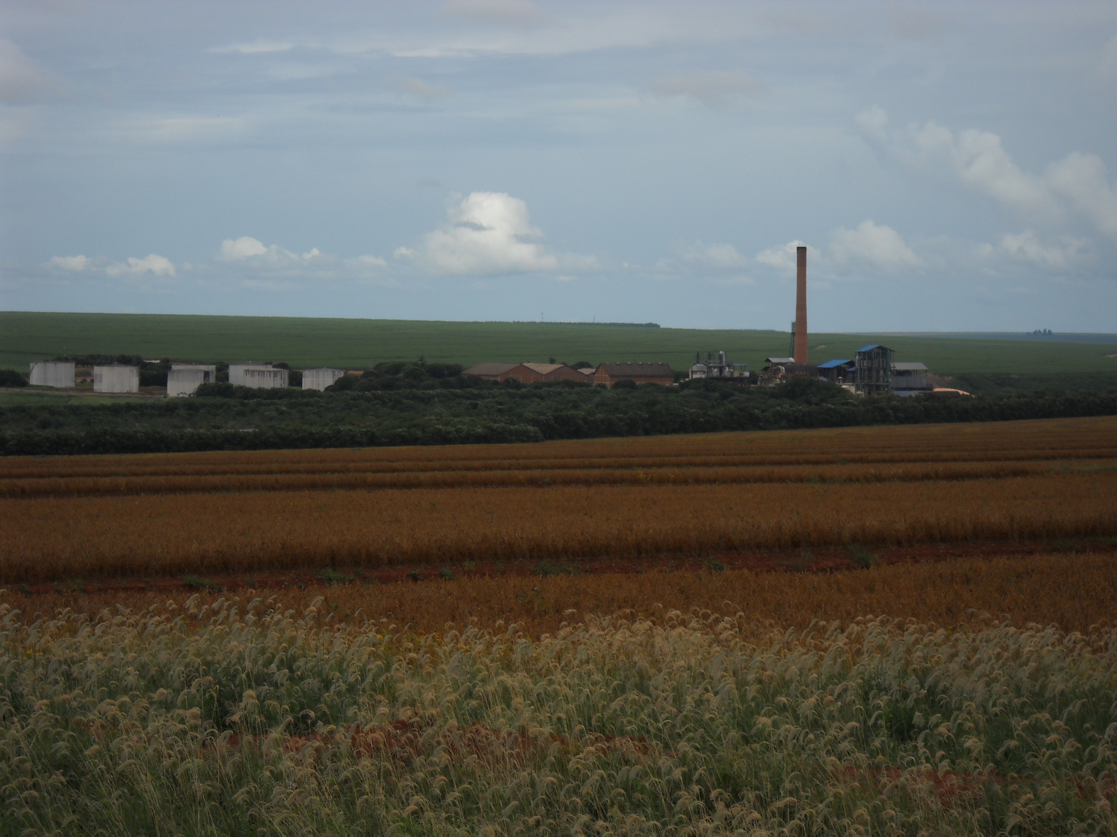 Soybeans (foreground) sugarcane and sugar mill (background) near Sonora in northern Mato Grosso do Sul