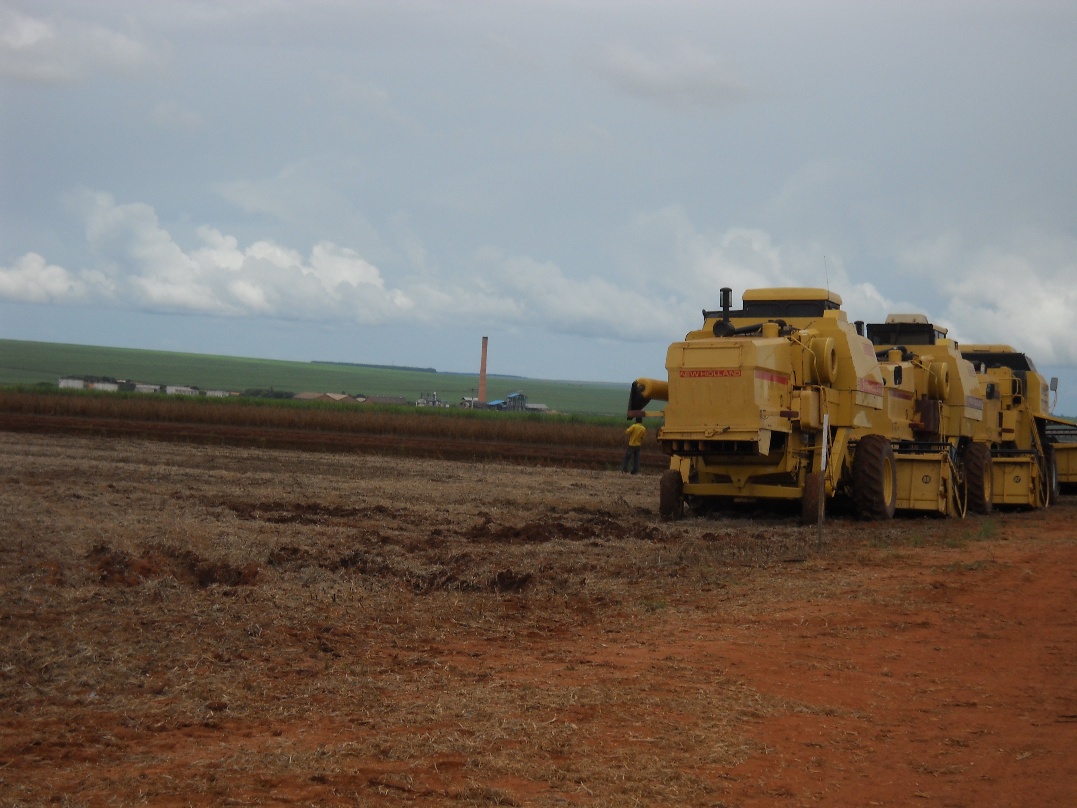 Soybeans (foreground), sugarcane and sugar mill (background) near Sonora in northern Mato Grosso do Sul