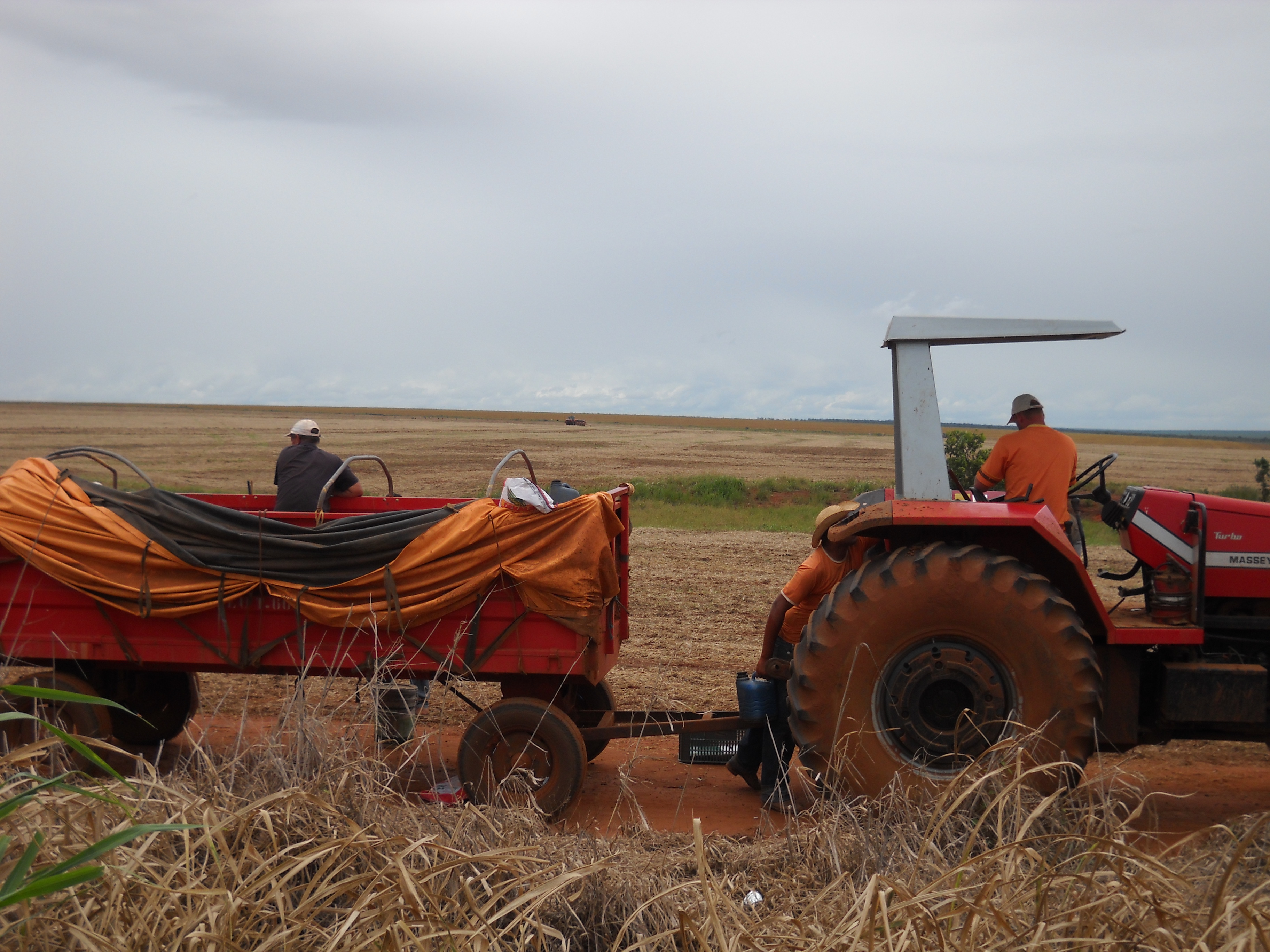 Planting safrinha corn near Itiquira in far southern Mato Grosso