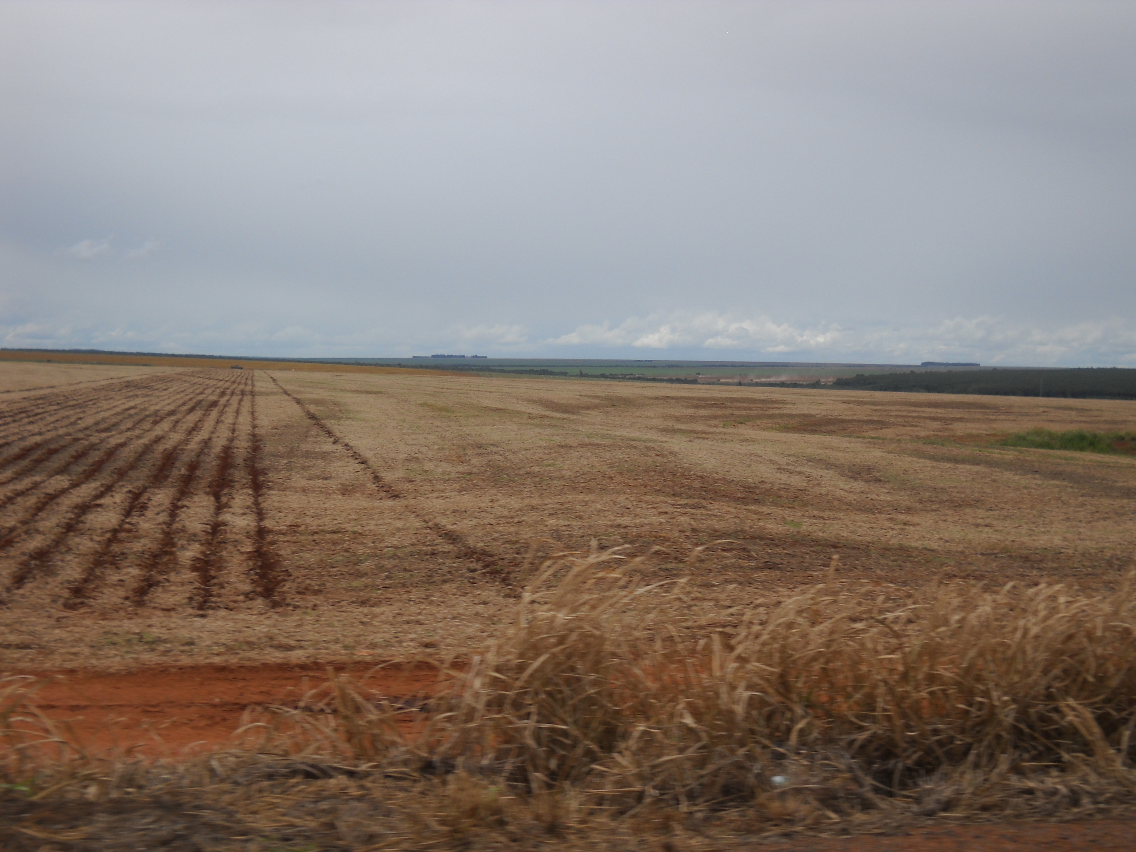 Planting safrinha corn near Itiquira in far southern Mato Grosso