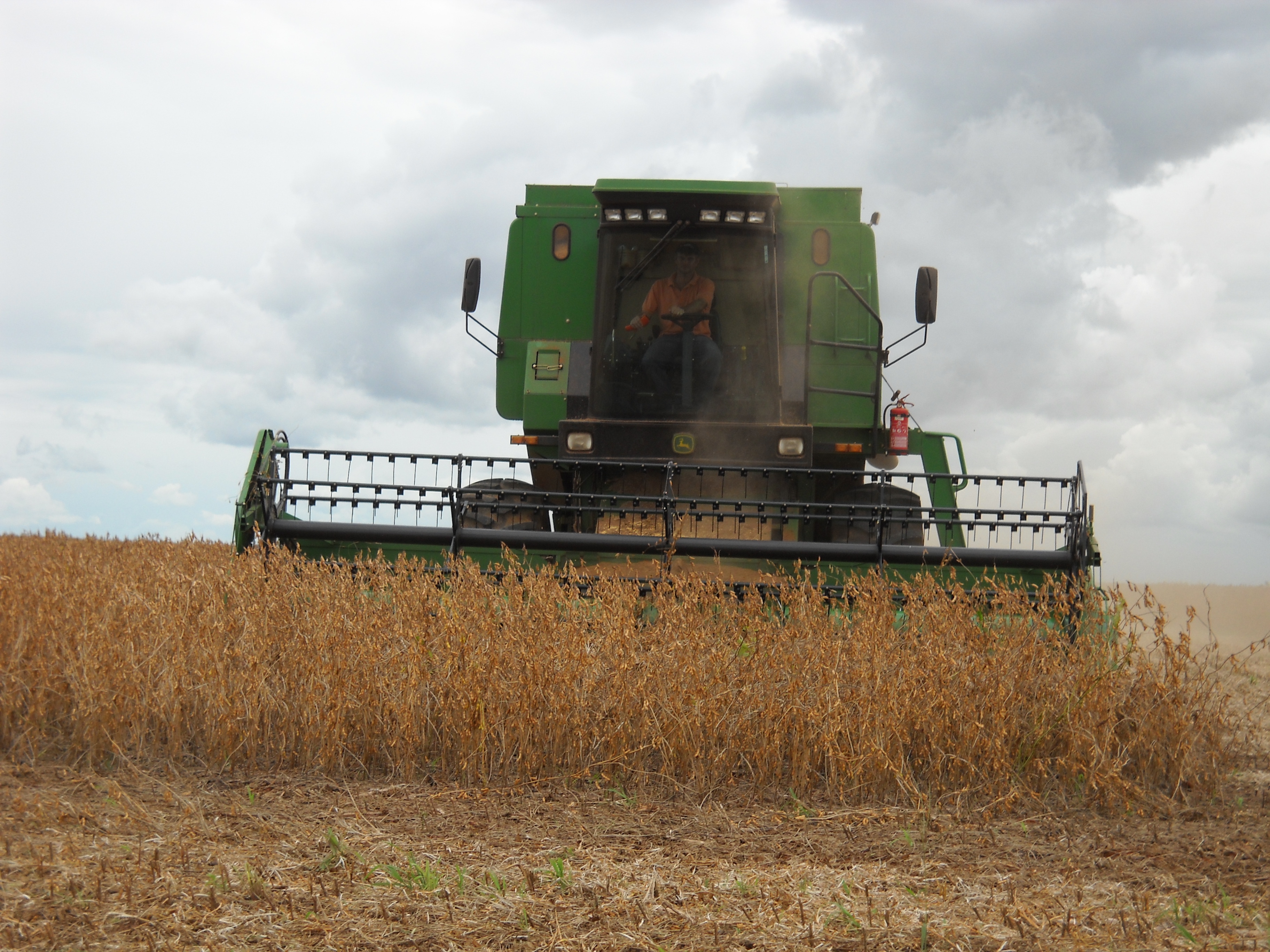 Harvesting medium maturing soybeans near Itiquira in far southern Mato Grosso