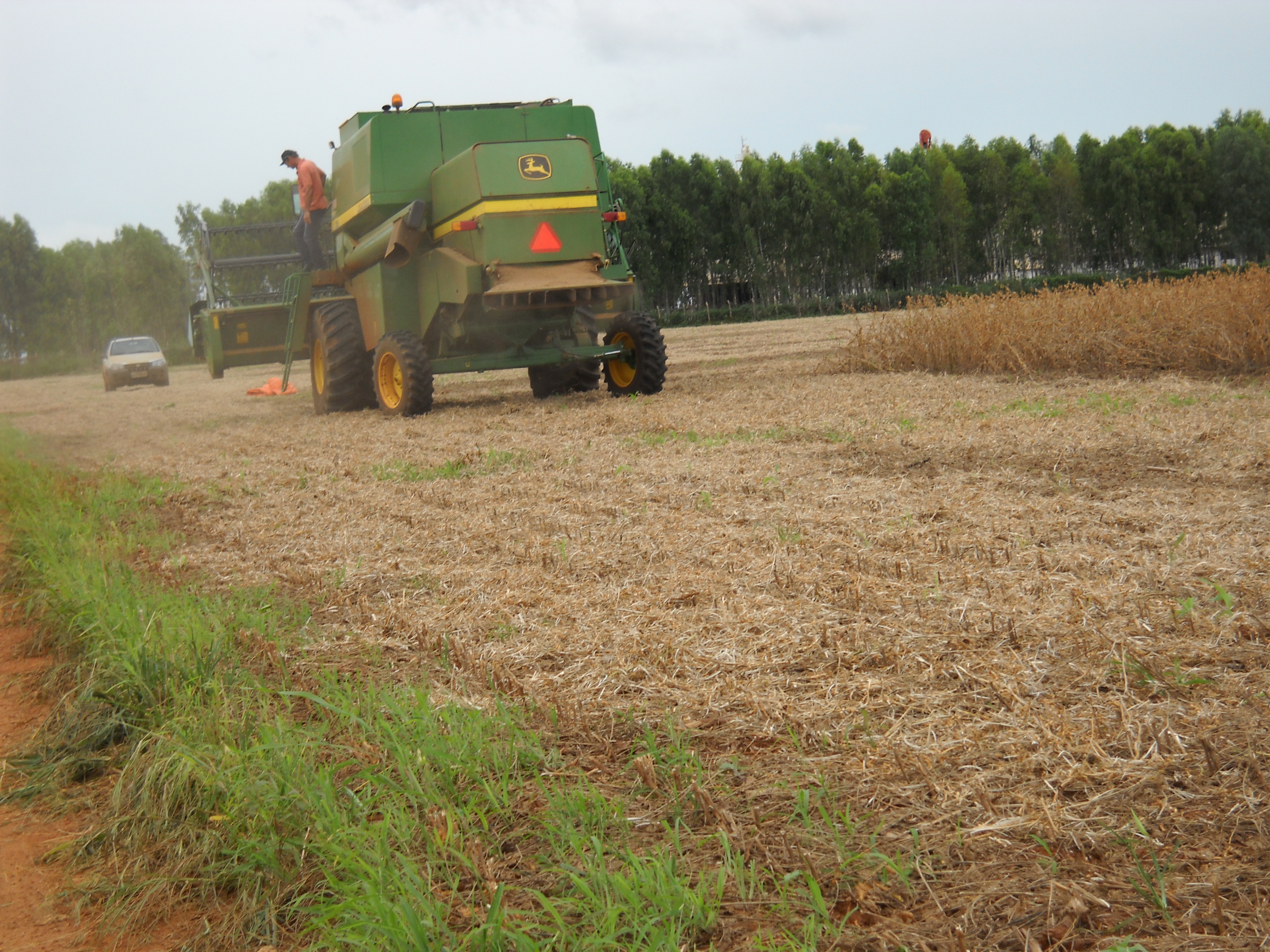 Harvesting soybeans near Itiquira in far southern Mato Grosso