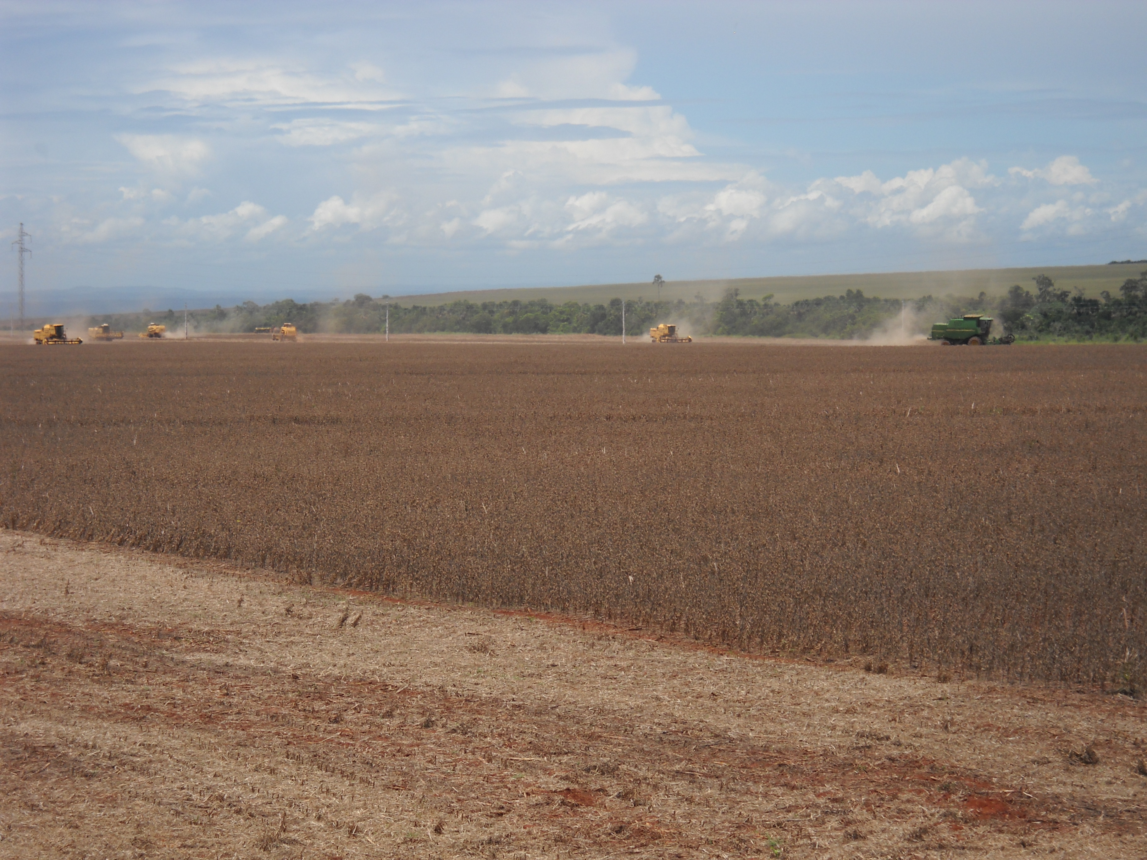 Harvesting early maturing soybeans south of Rondonopolis in southeastern Mato Grosso