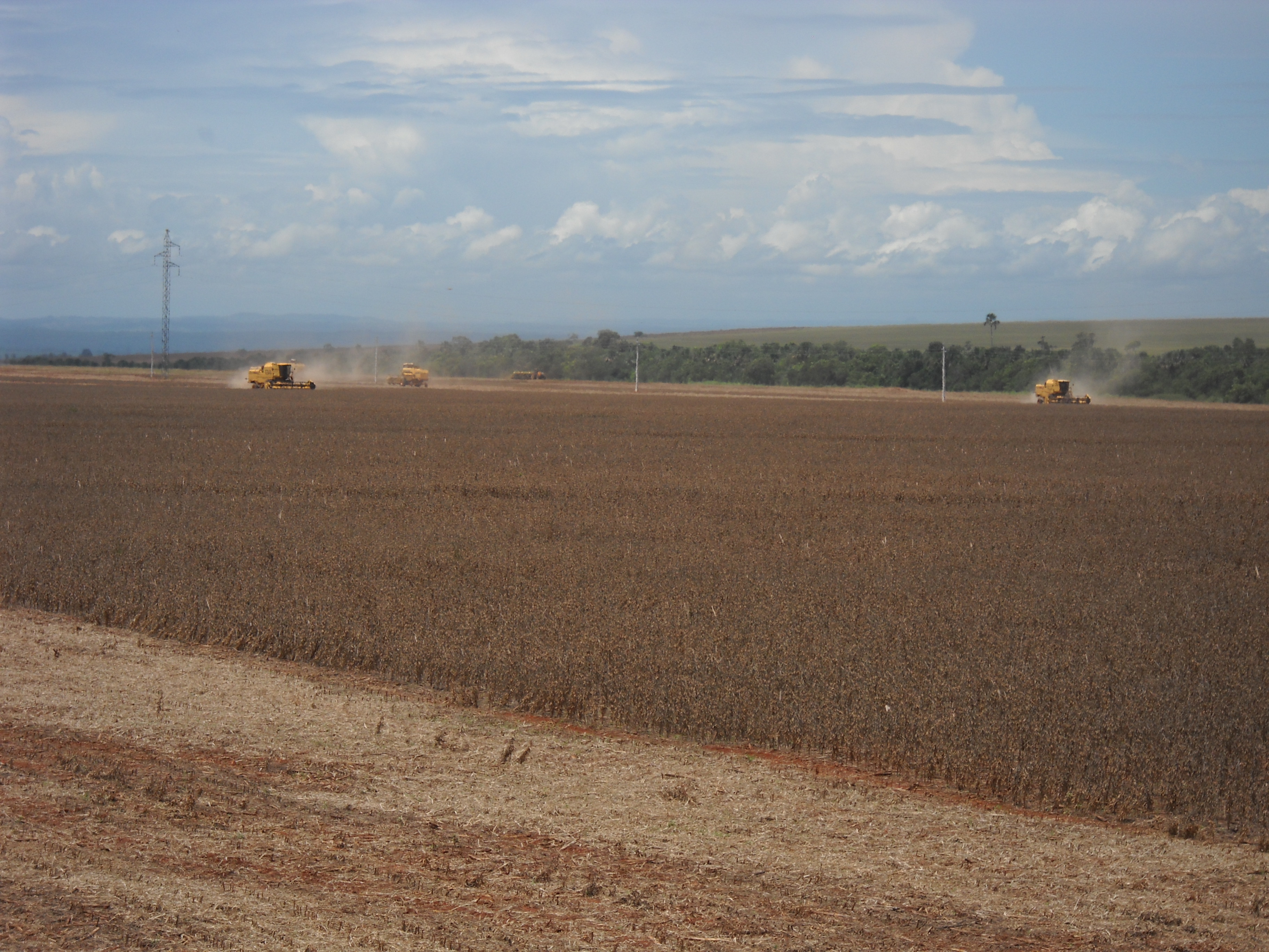 Harvesting early maturing soybeans south of Rondonopolis in southeastern Mato Grosso
