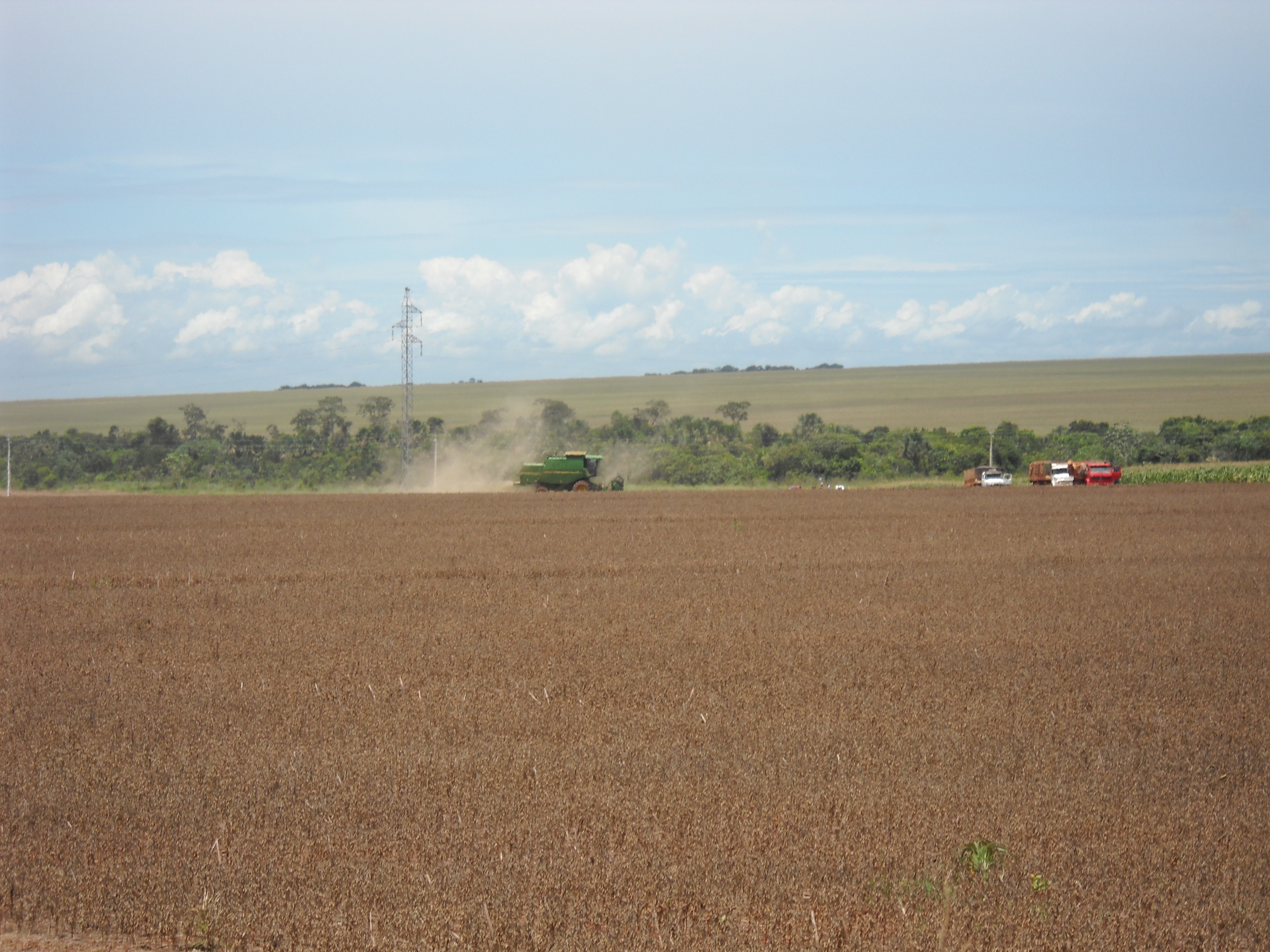 Harvesting early maturing soybeans south of Rondonopolis in southeastern Mato Grosso