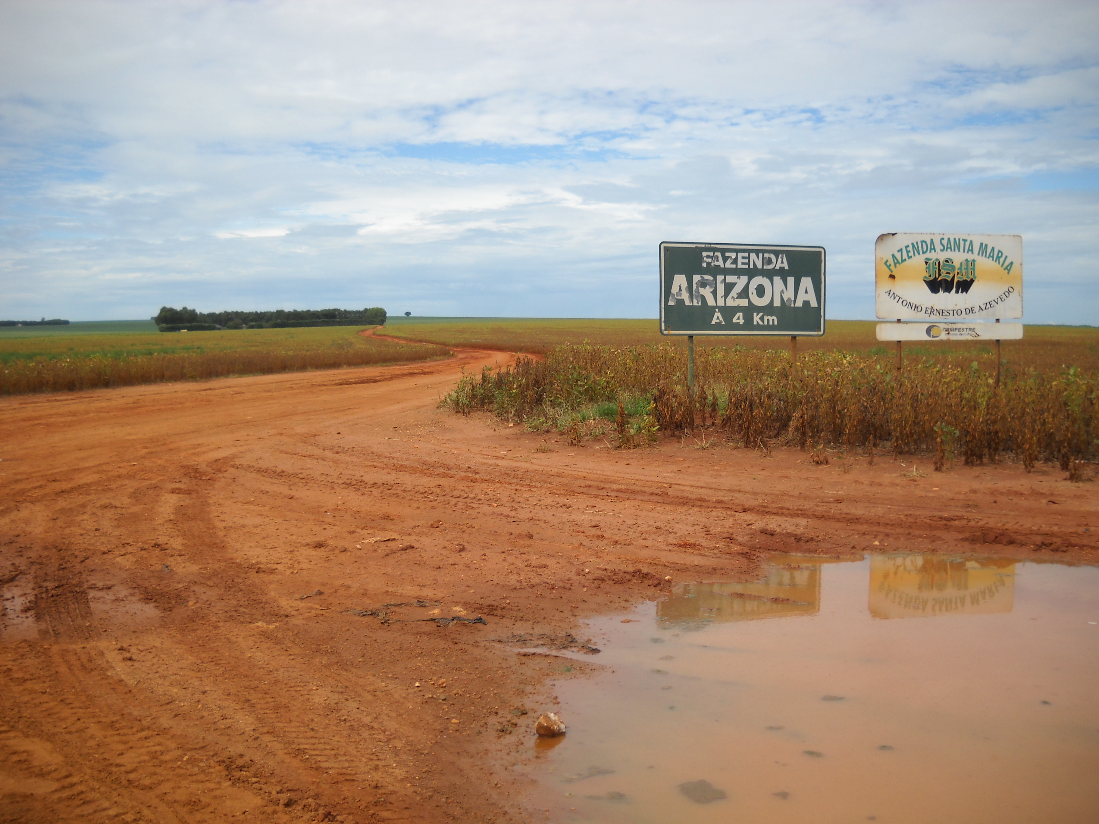 Maturing soybeans near Alta Garcas in southeastern Mato Grosso
