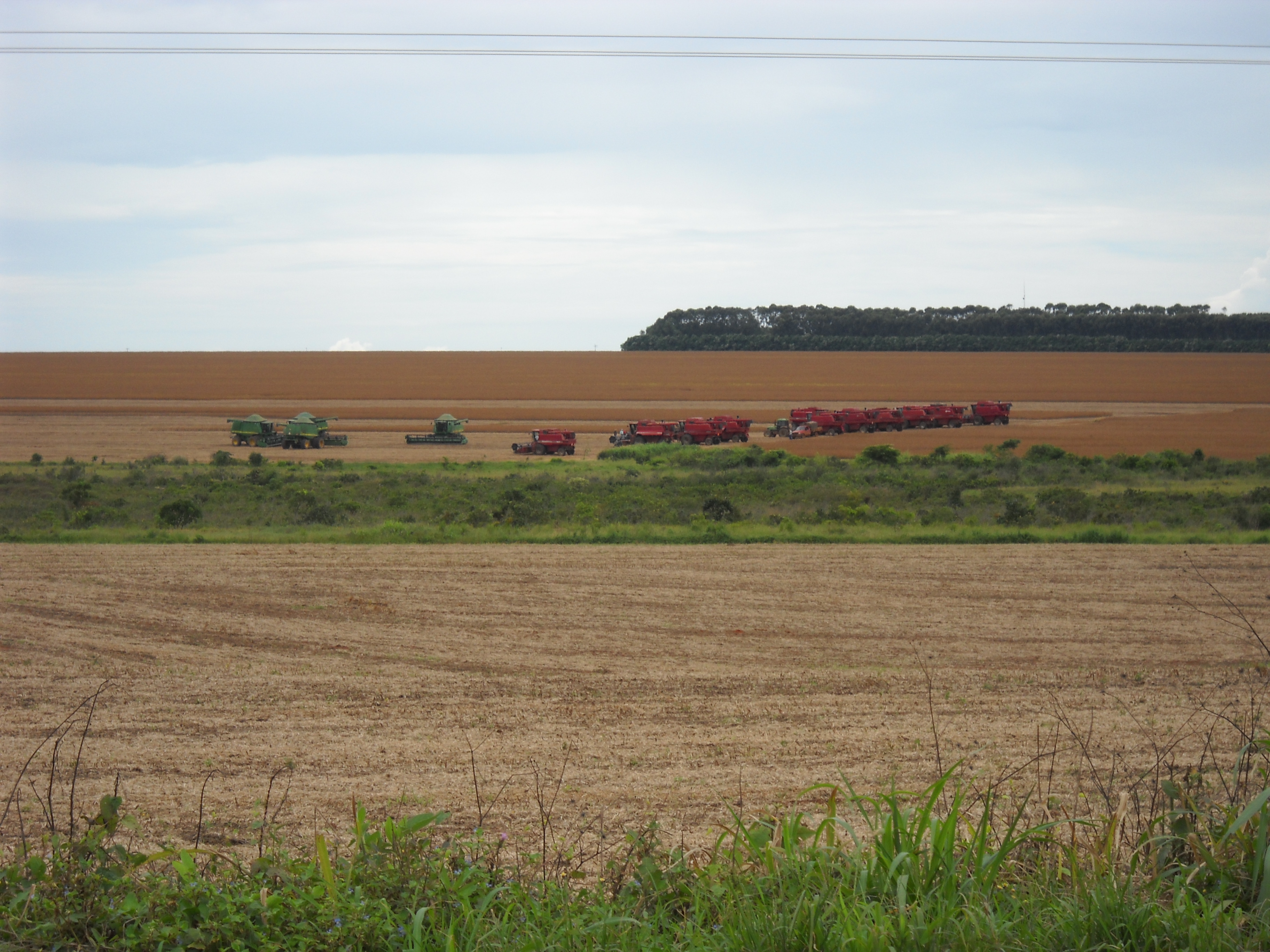 Preparing for soybean harvest near Alta Garcas in southeastern Mato Grosso