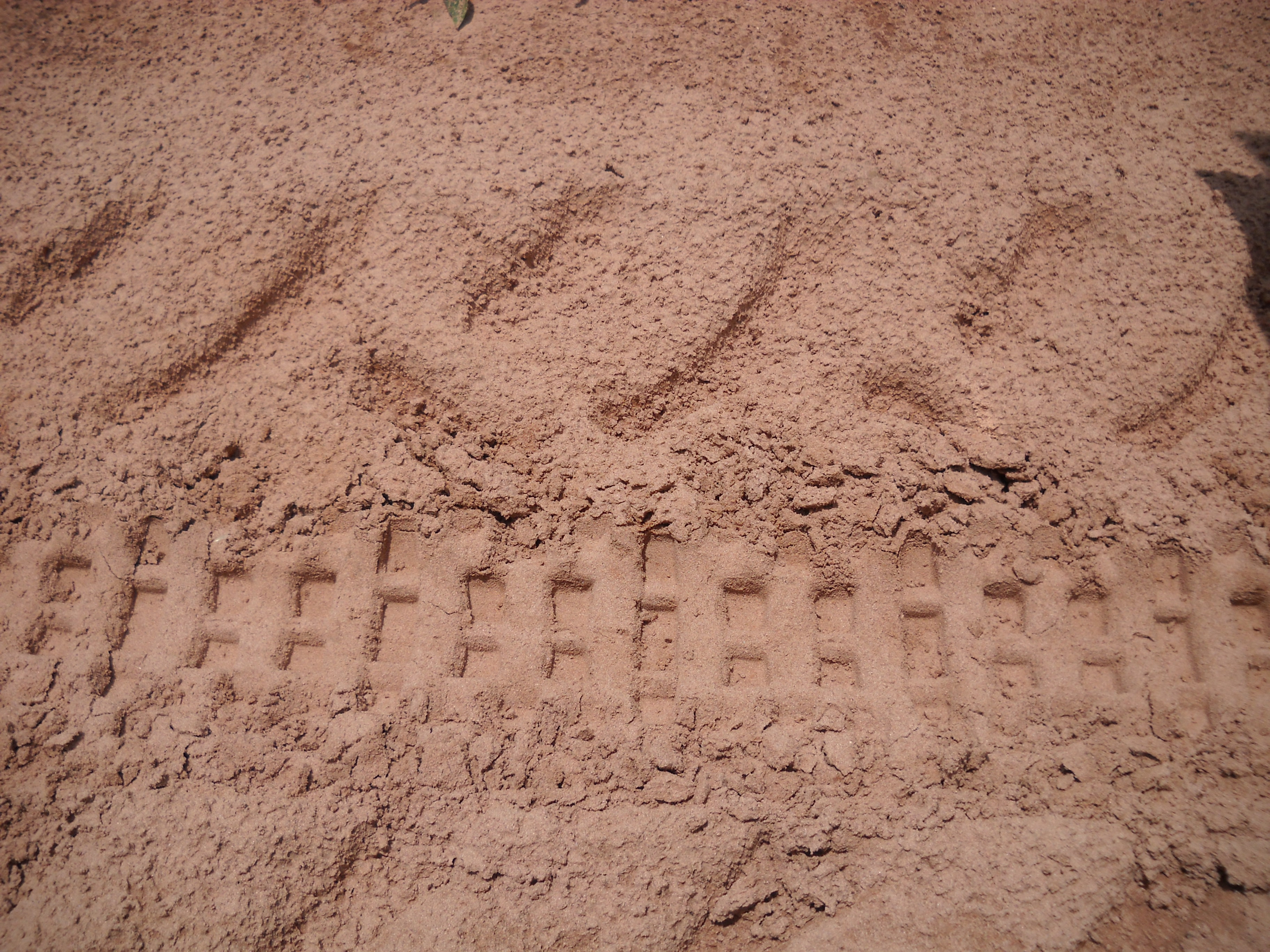 Sandy soil near Alta Garcas in southeastern Mato Grosso