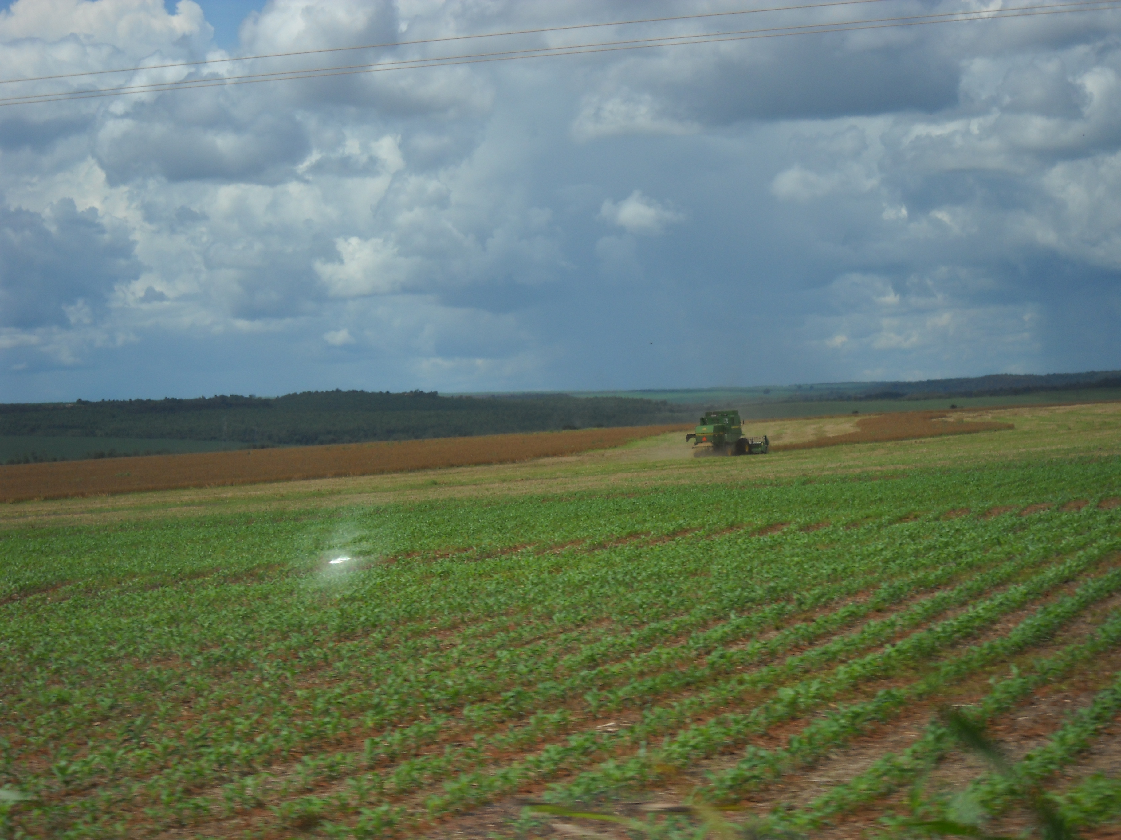 Harvesting medium maturing soybeans (safrinha corn foreground) near Alta Garcas in southeastern Mato Grosso