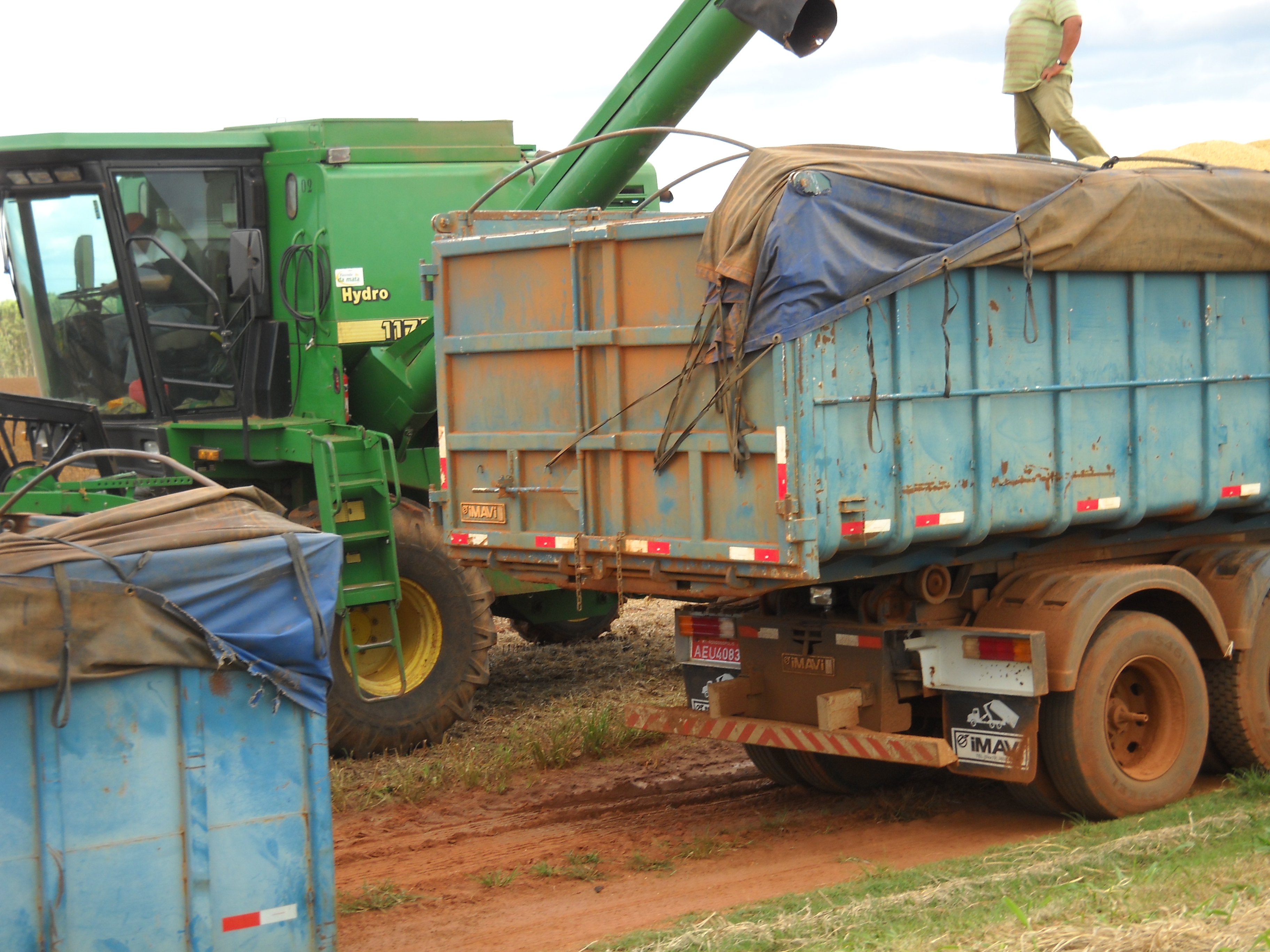 Unloading soybeans near Alta Garcas in southeastern Mato Grosso