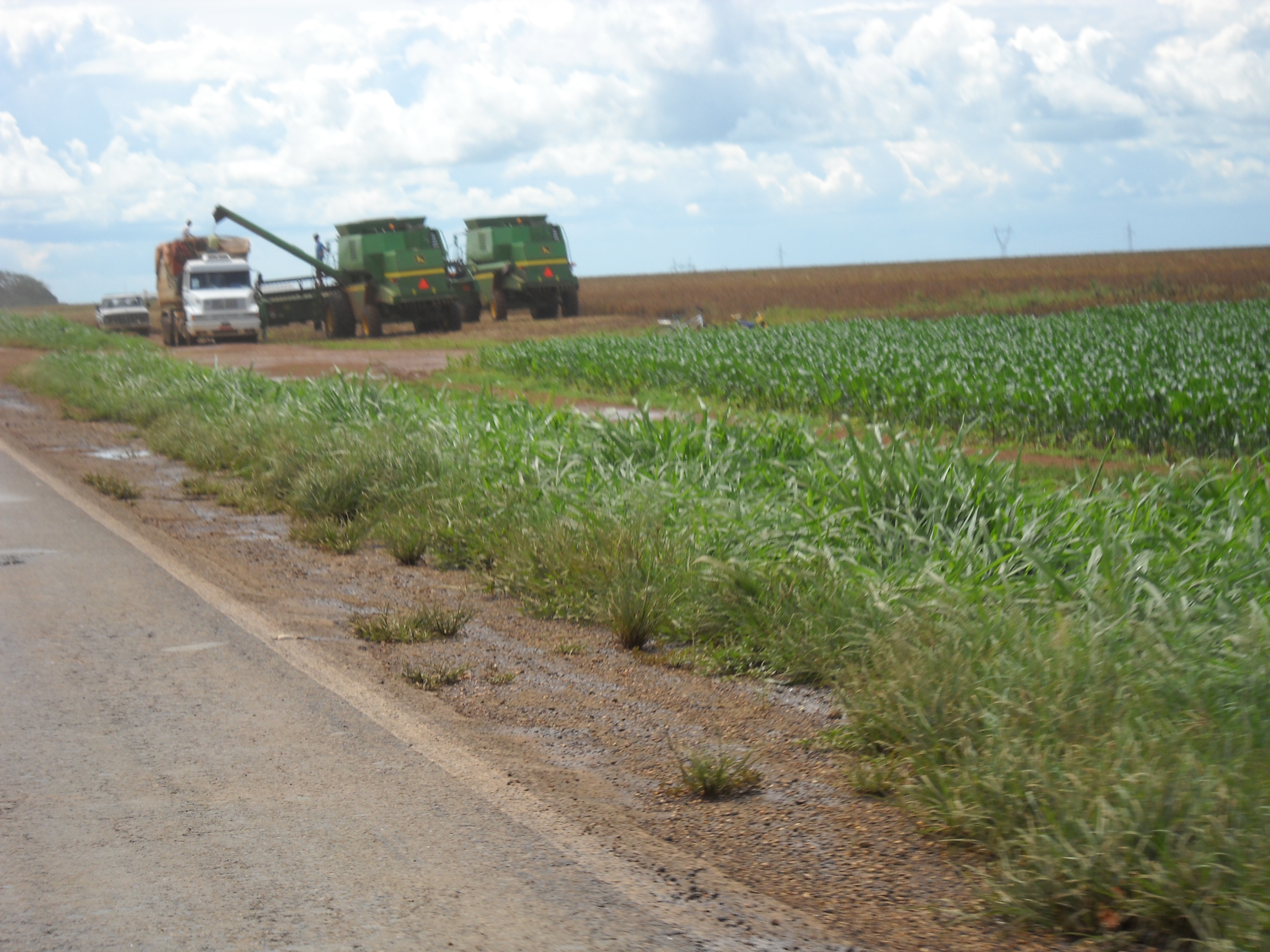 Unloading soybeans into semi truck near Alta Garcas in southeastern Mato Grosso