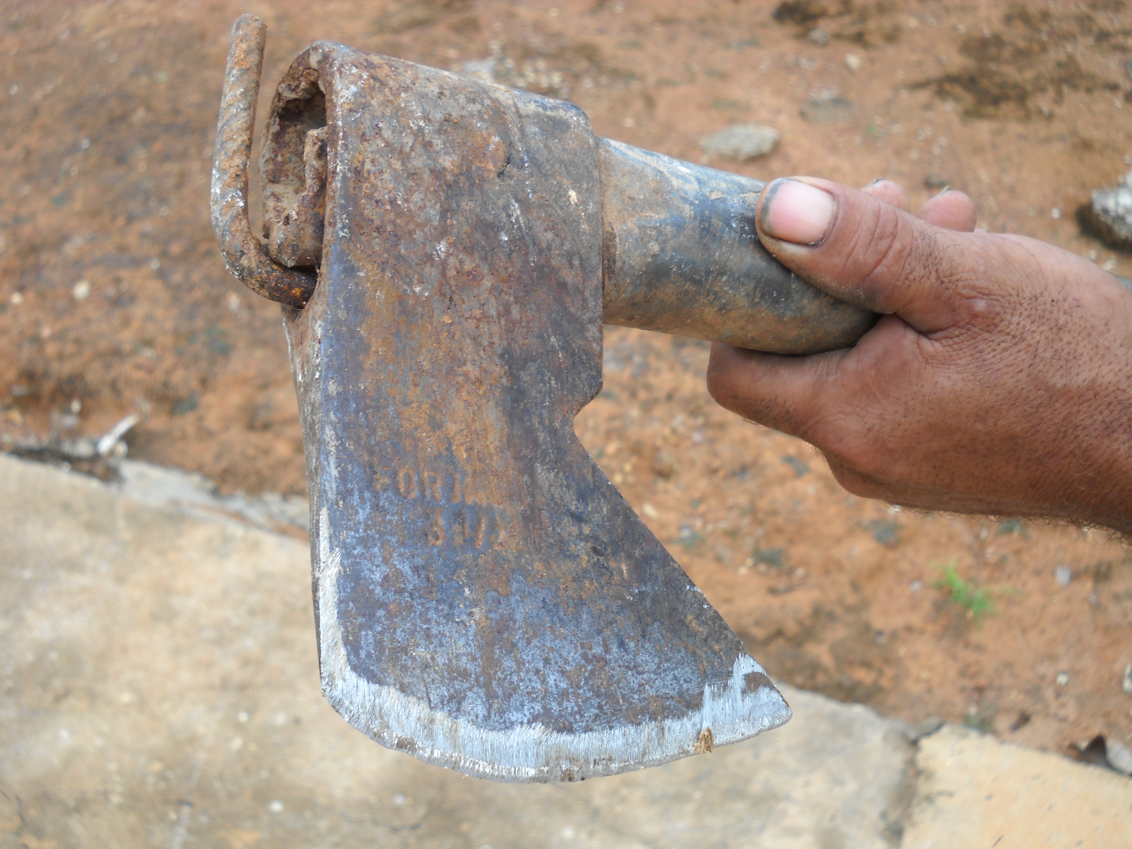 Ax needed to open Brazil nut shell