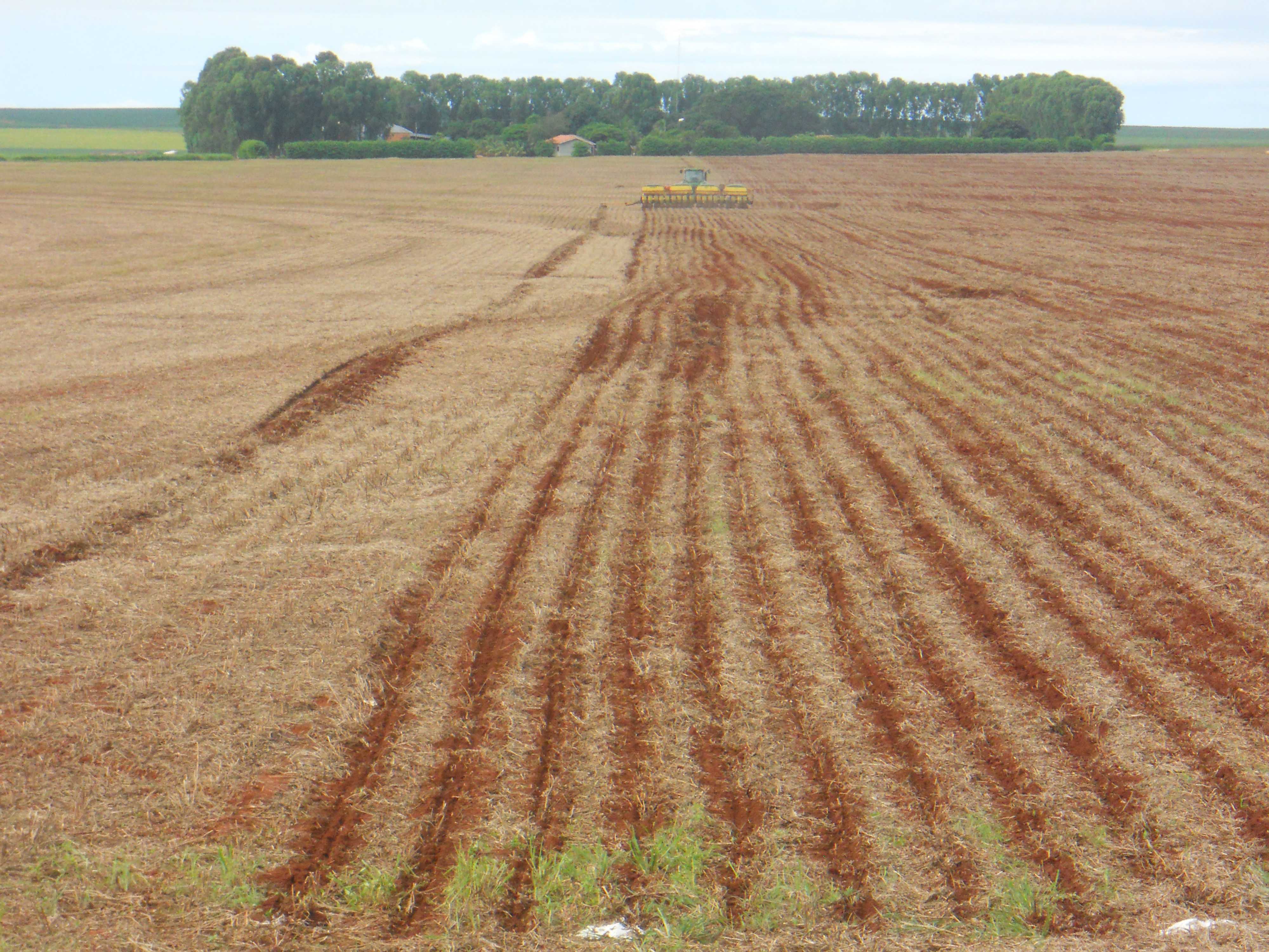 Planting safrinha corn near Alta Araguaia in southeastern Mato Grosso, Brazil