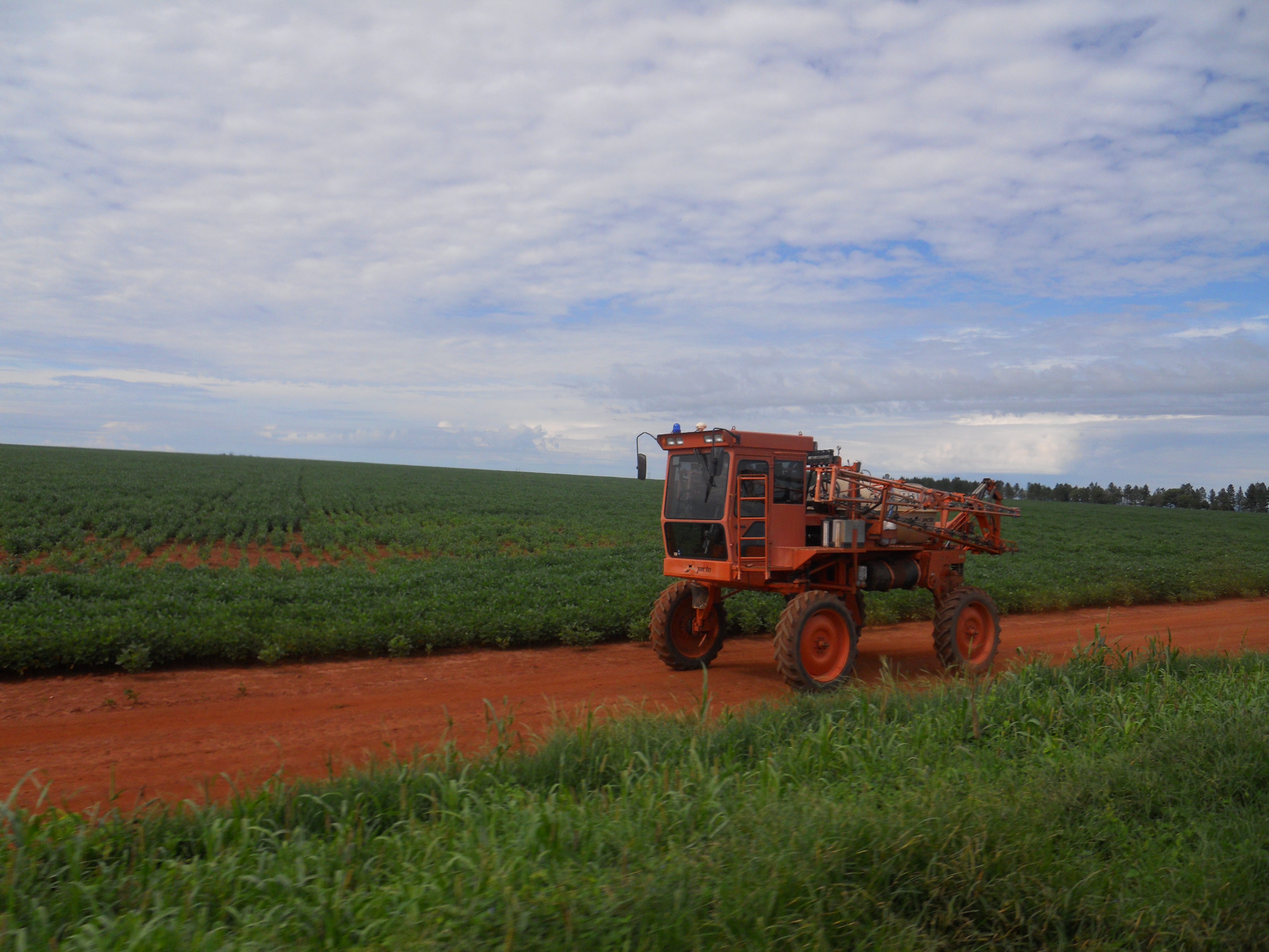 Spraying soybeans for rust control near Alta Araguaia in southeastern Mato Grosso, Brazil