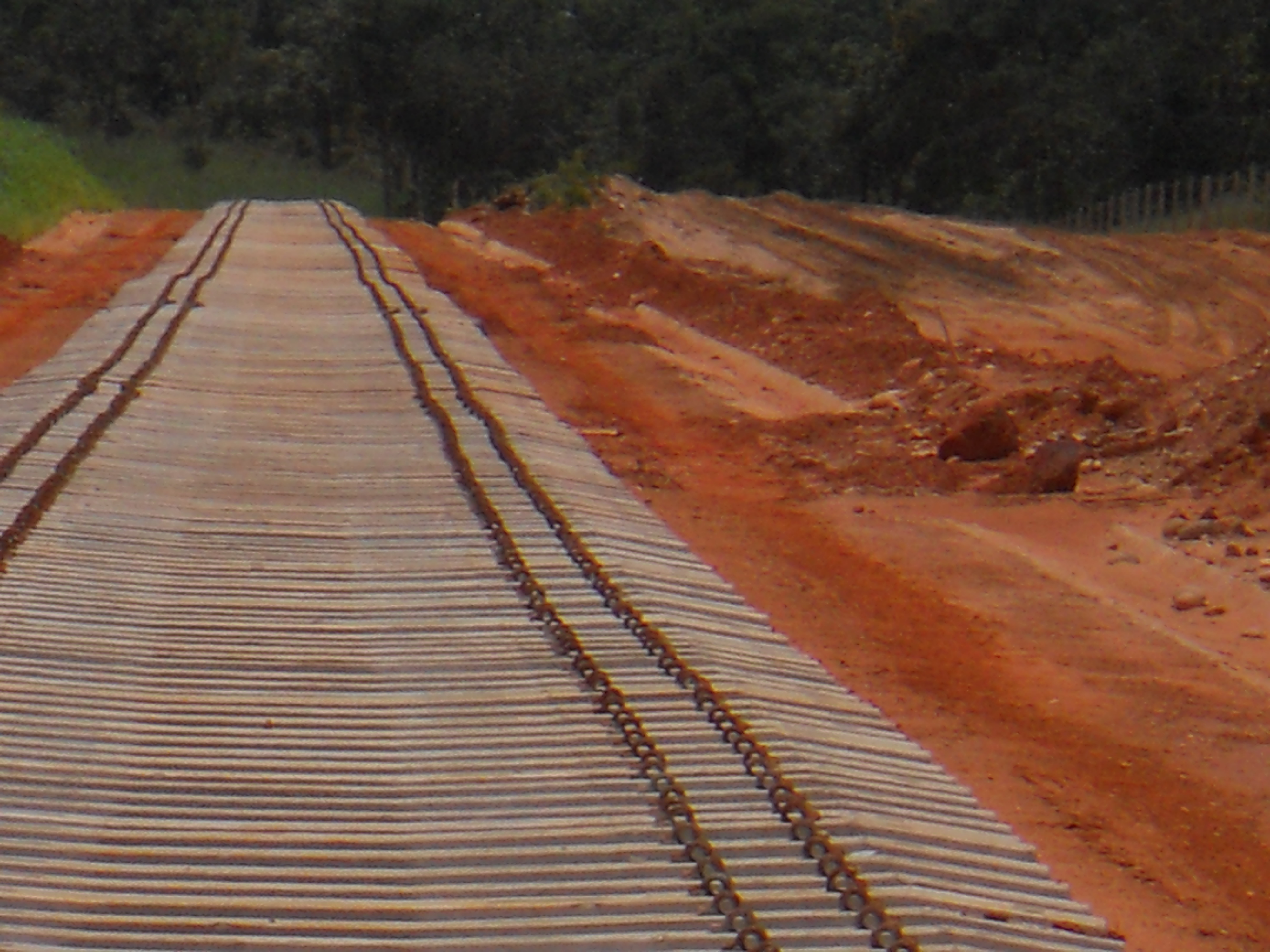 Ferronorte Railroad near Alta Araguaia in southeastern Mato Grosso, Brazil