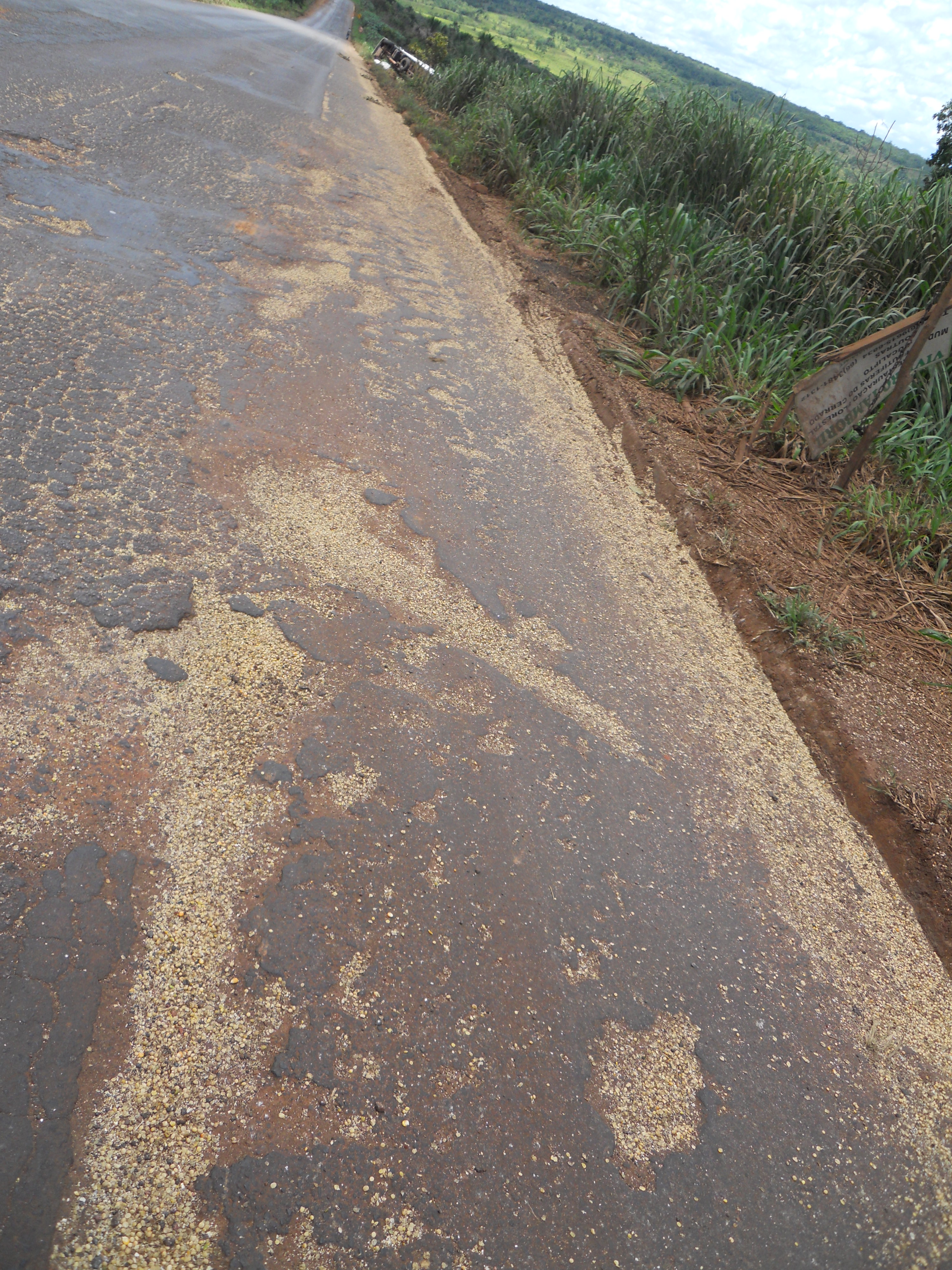Soybeans along the side of BR-364 near Alta Garcas in southeastern Mato Grosso, Brazil